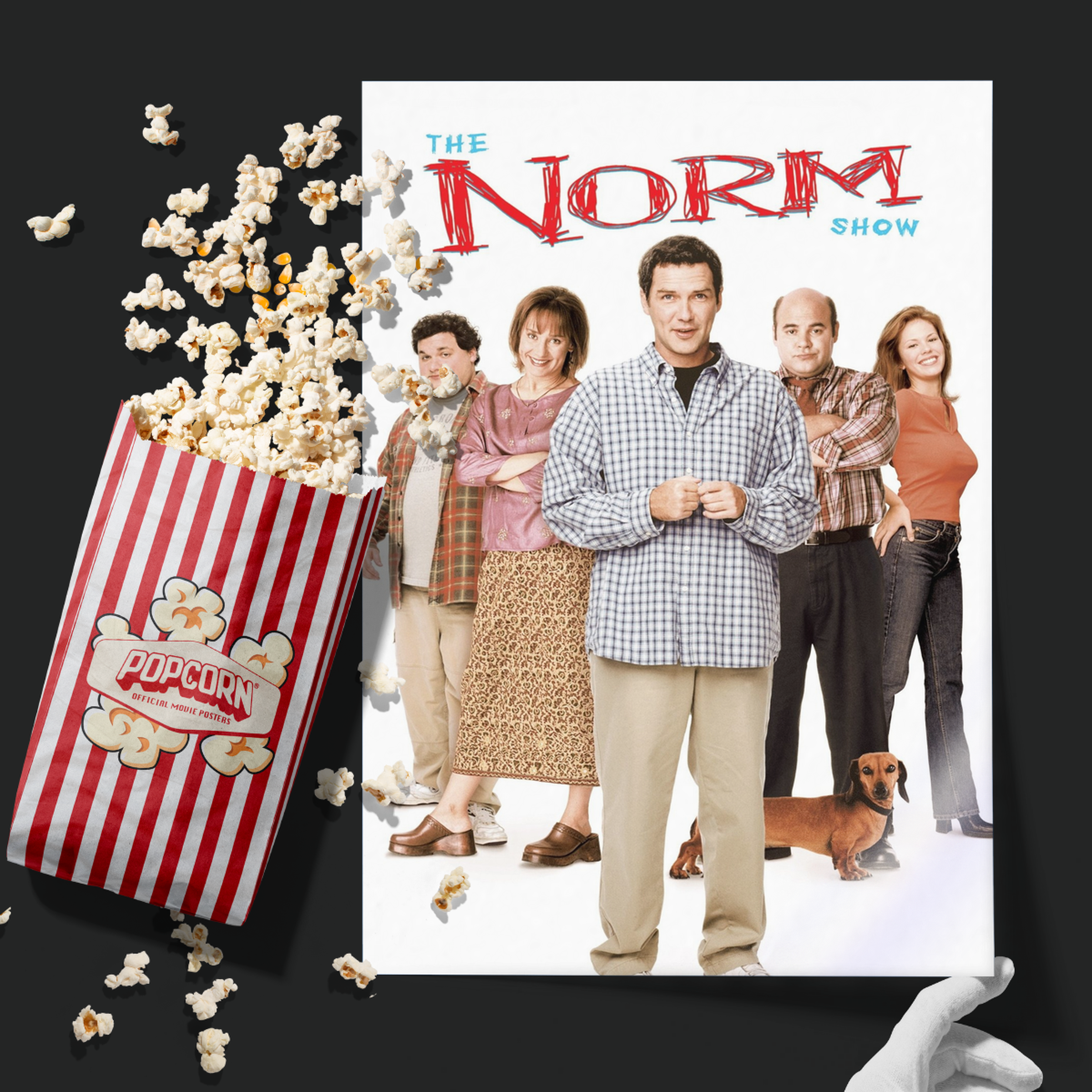The Norm Show (1999)