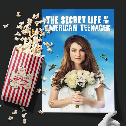 The Secret Life Of The American Teenager (2008)