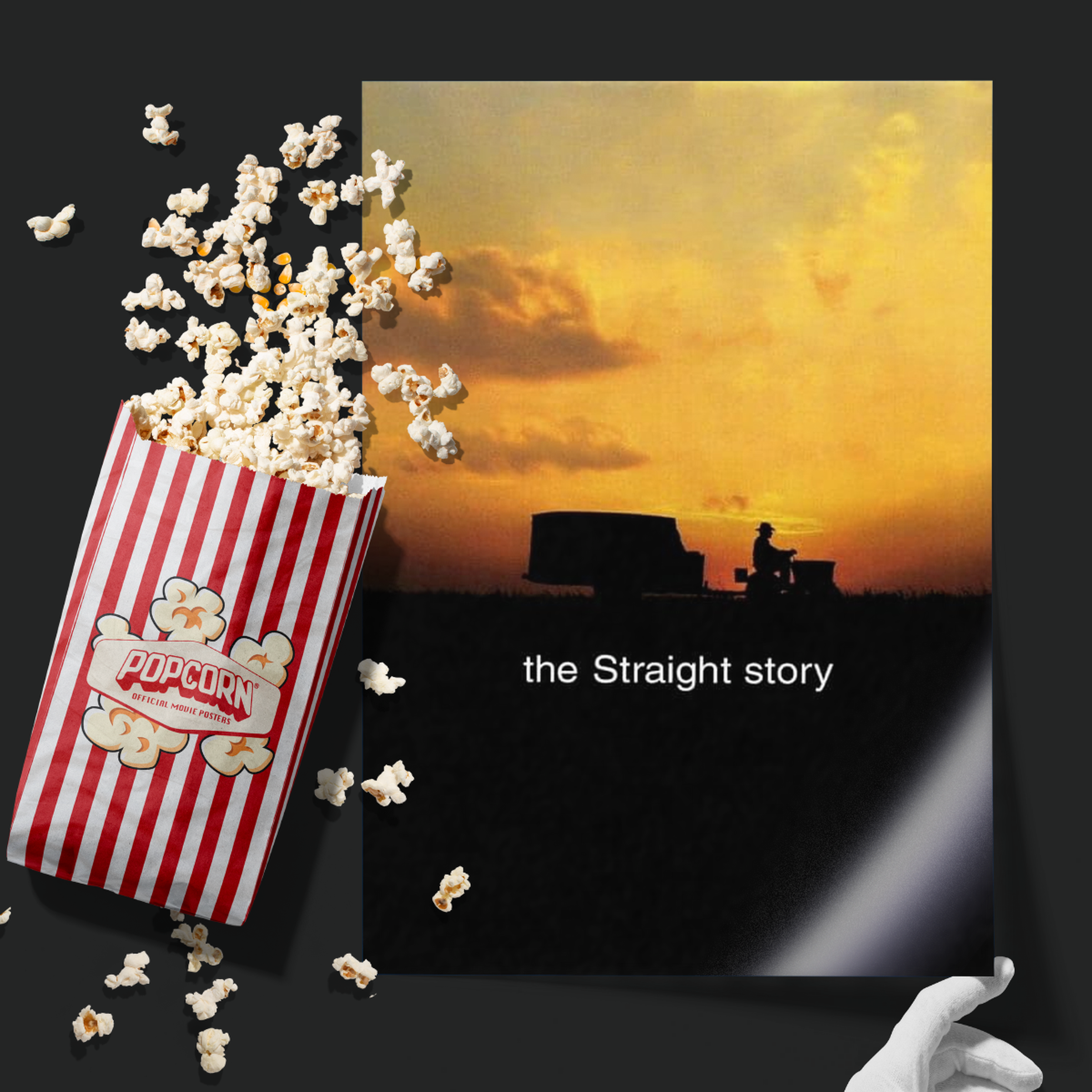 The Straight Story (1999)