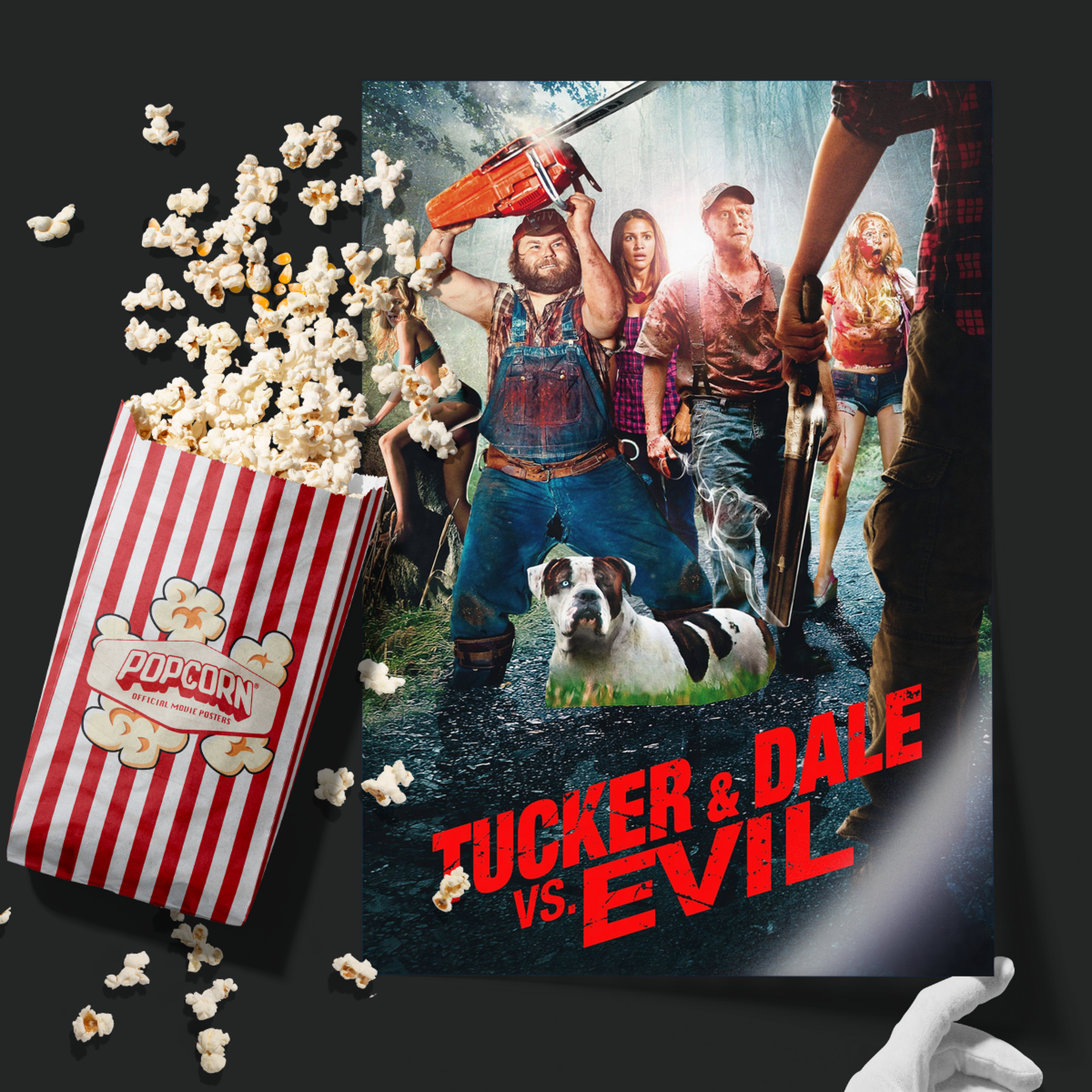 Tucker And Dale Vs. Evil (2010)
