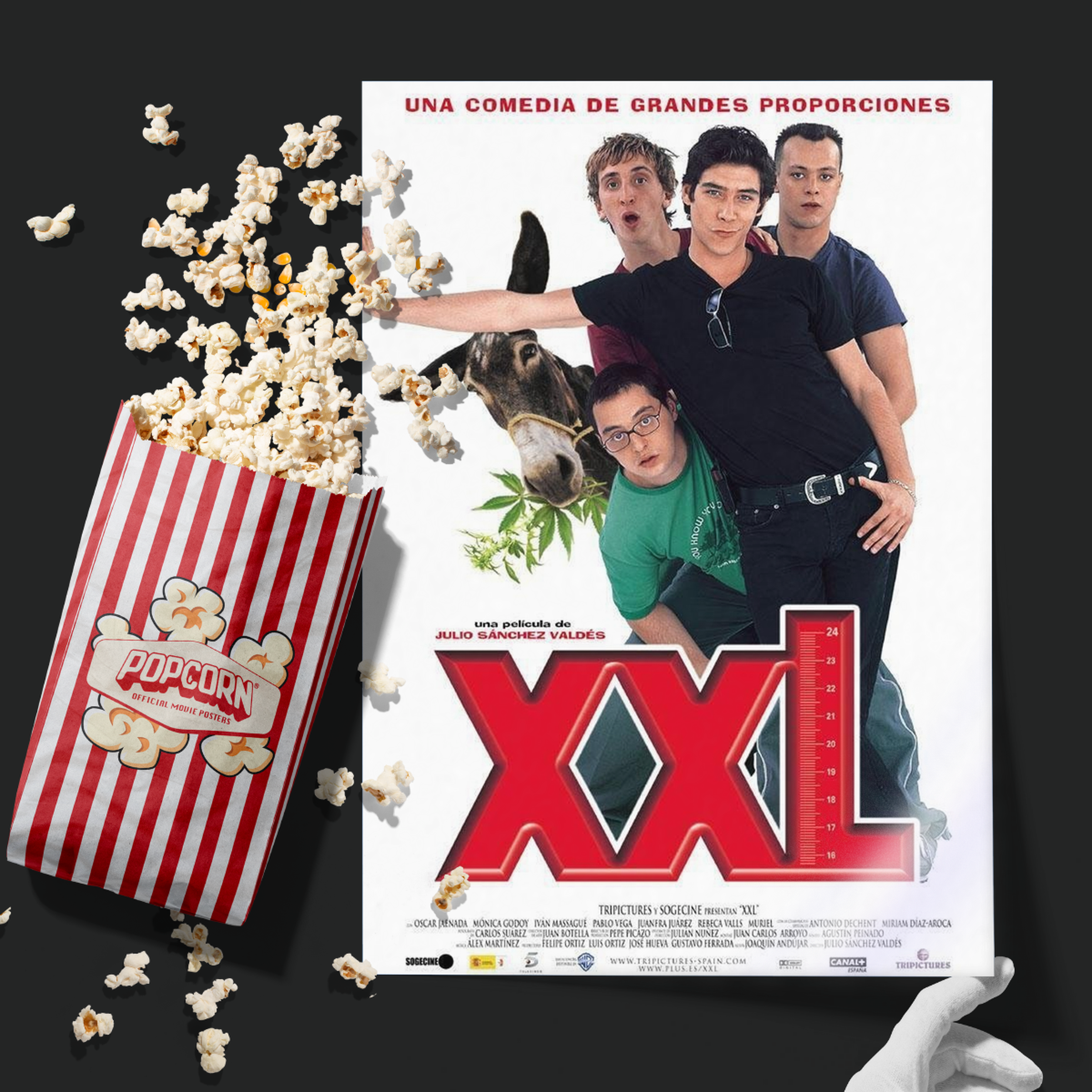 Xxl (2004)