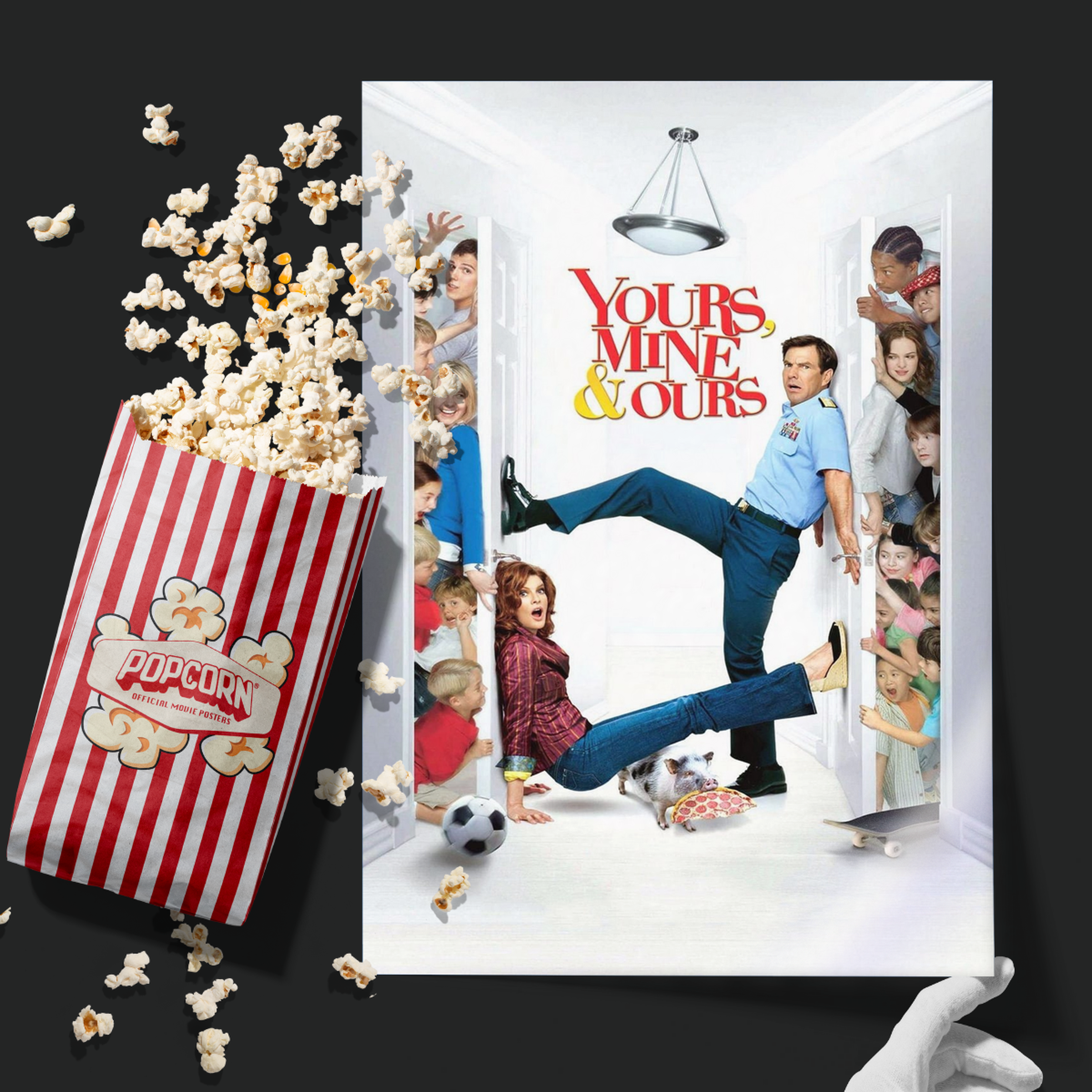 Yours, Mine & Ours (2005)