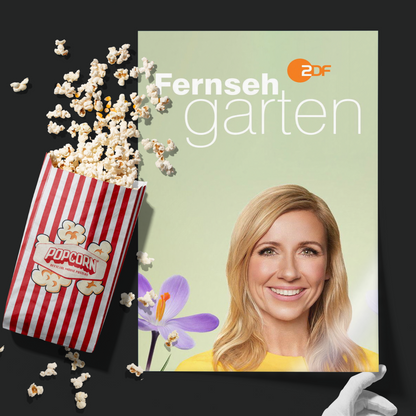 Zdf Fernsehgarten (1986)