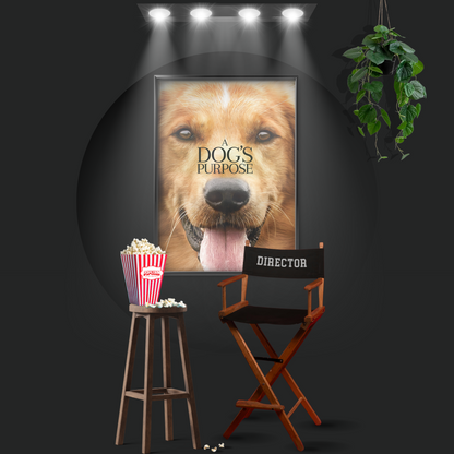 A Dog's Purpose (2017)