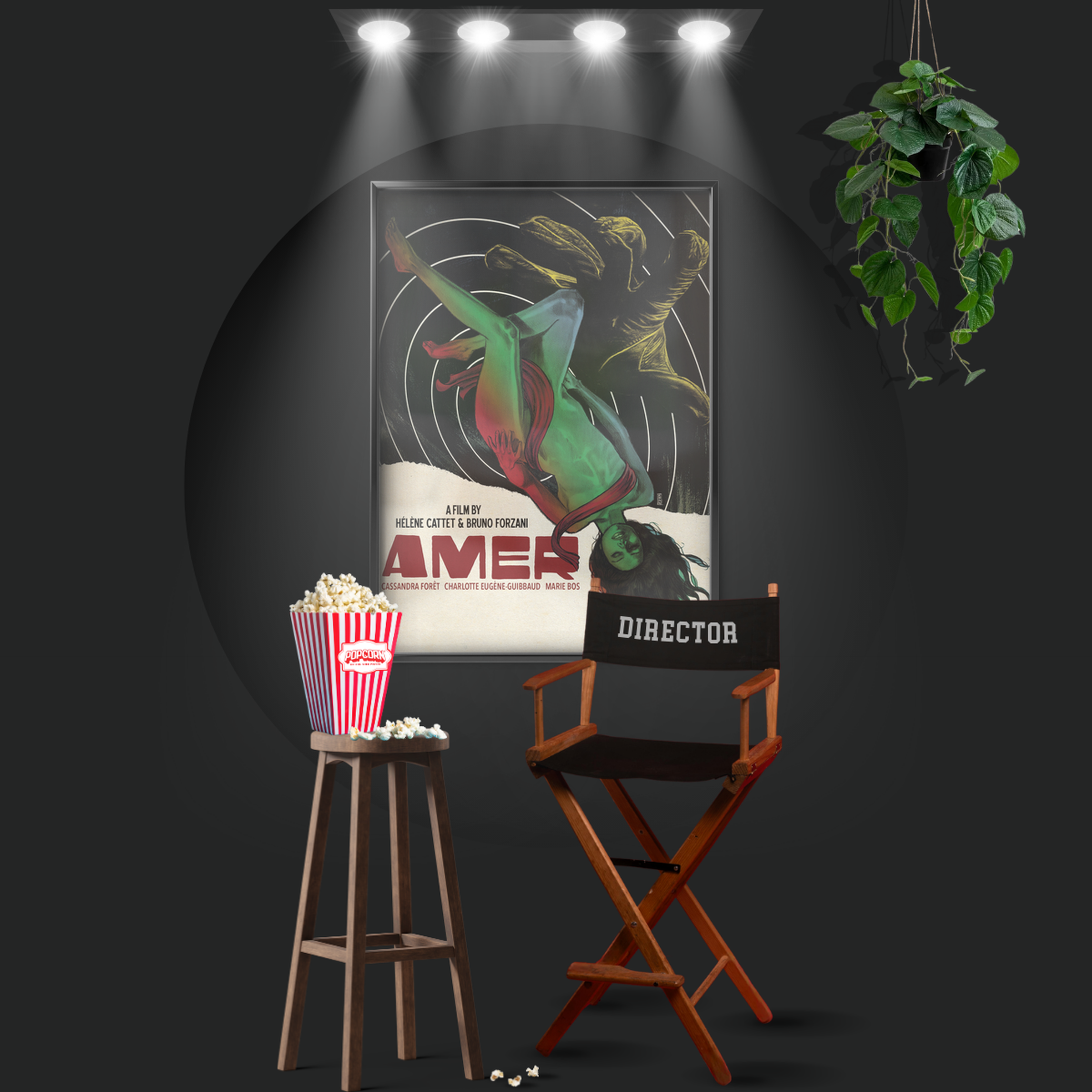 Amer (2009)