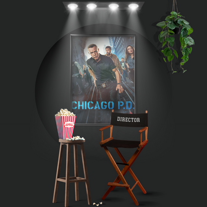 Chicago P.d. (2014)