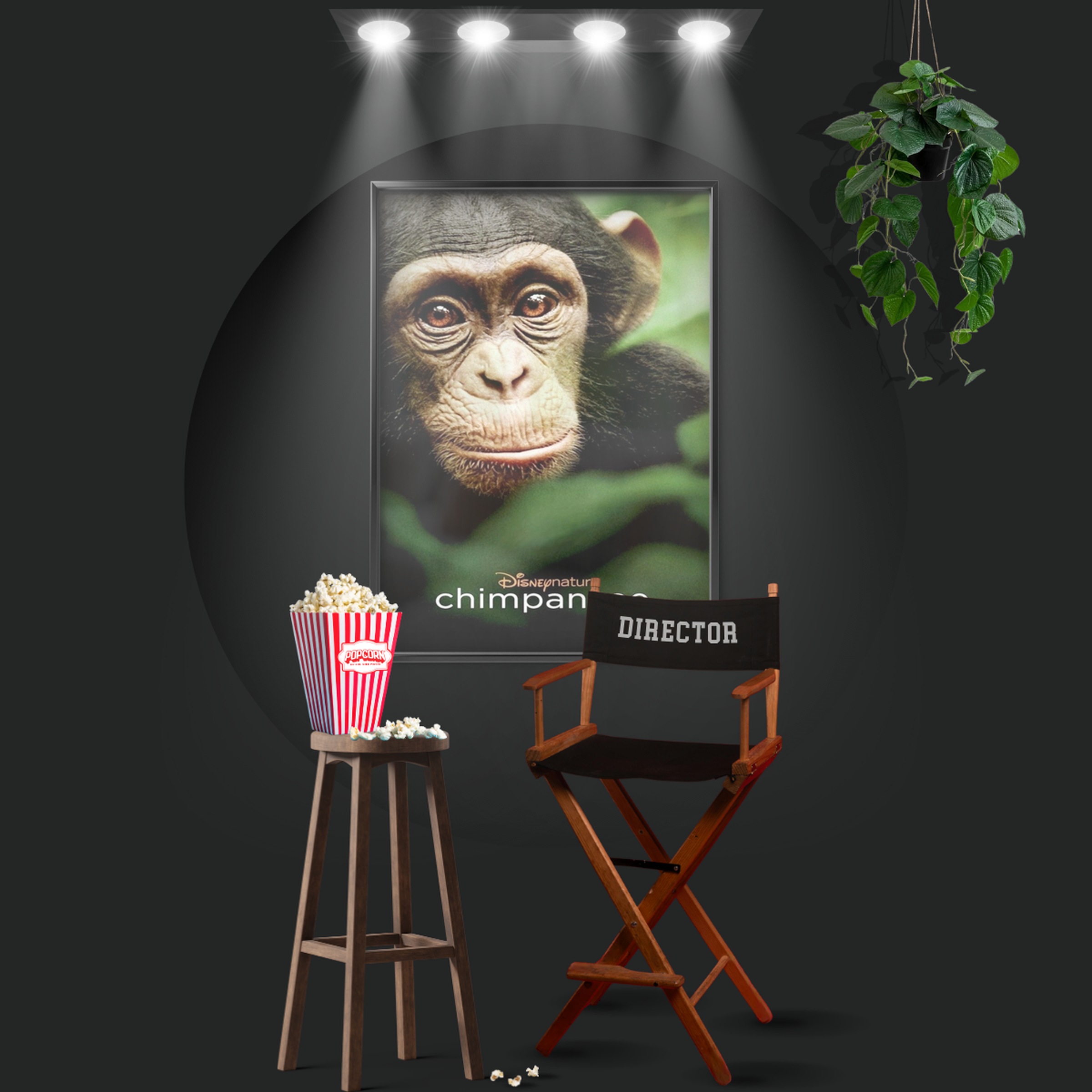 Chimpanzee (2012)