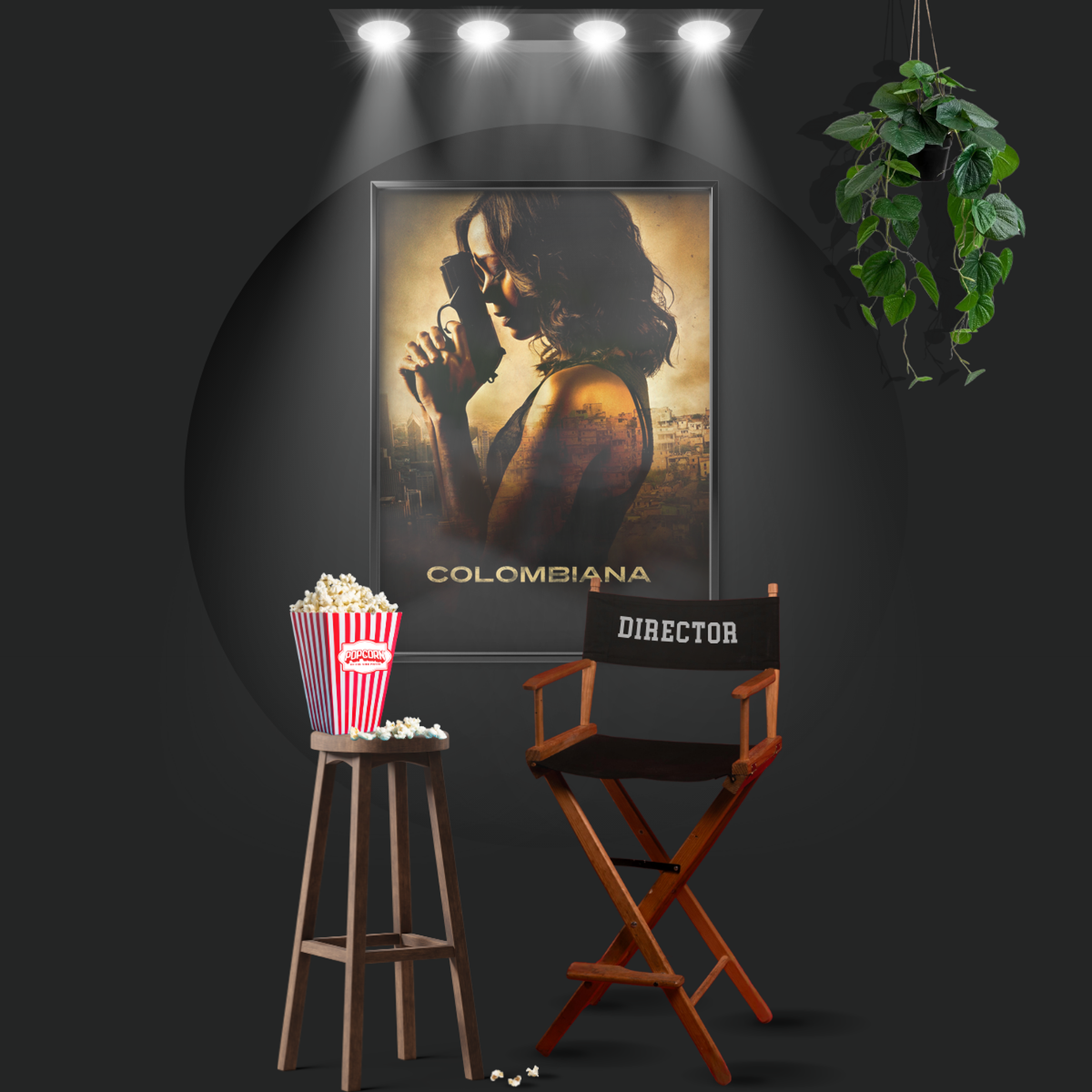 Colombiana (2011)