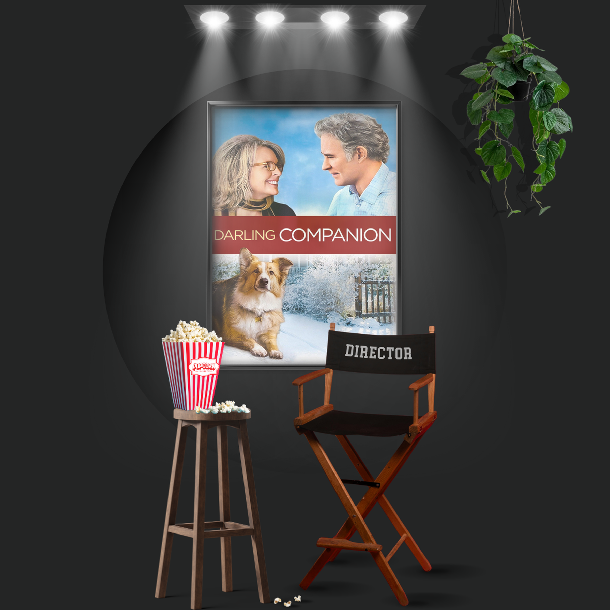 Darling Companion (2012)