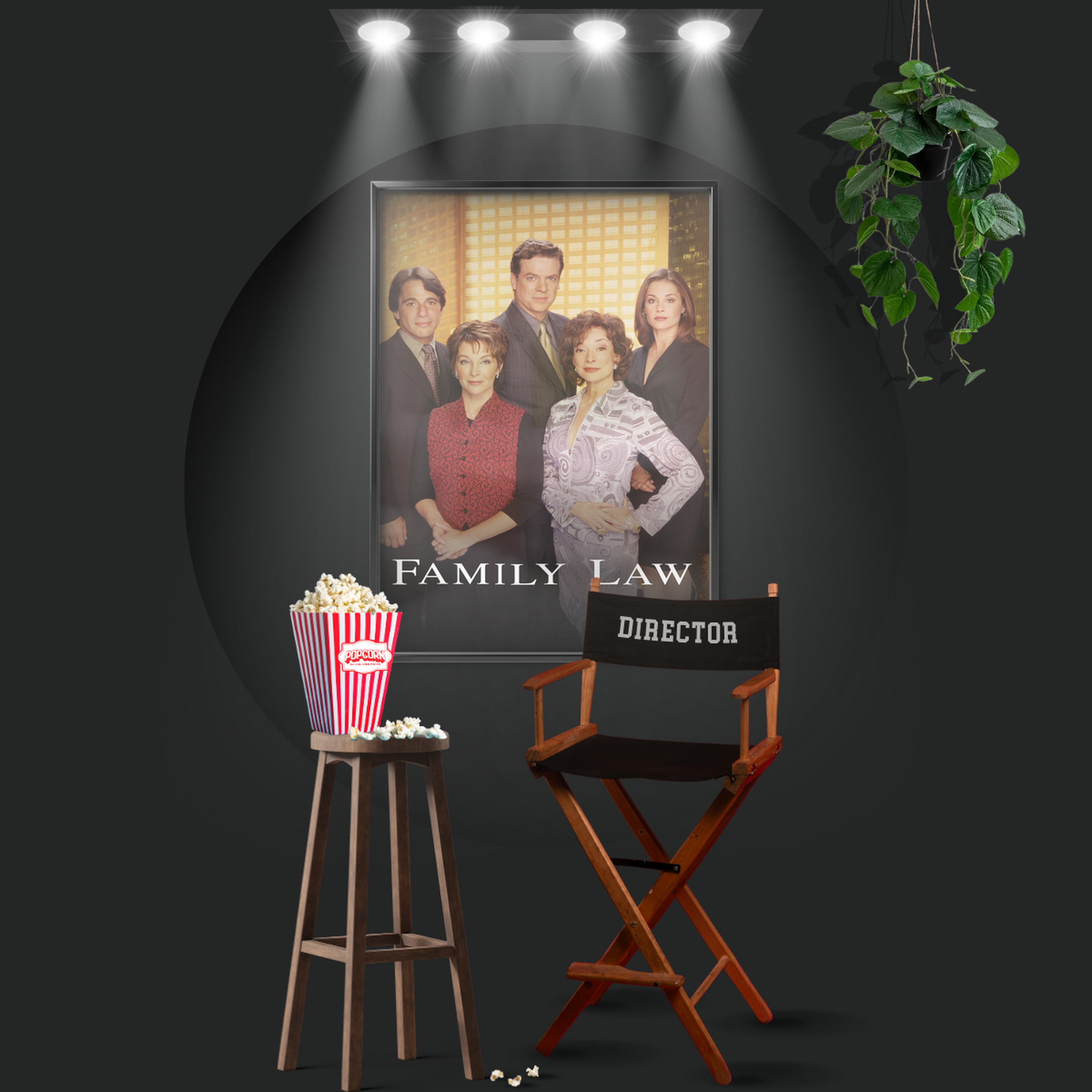 Family Law (1999)