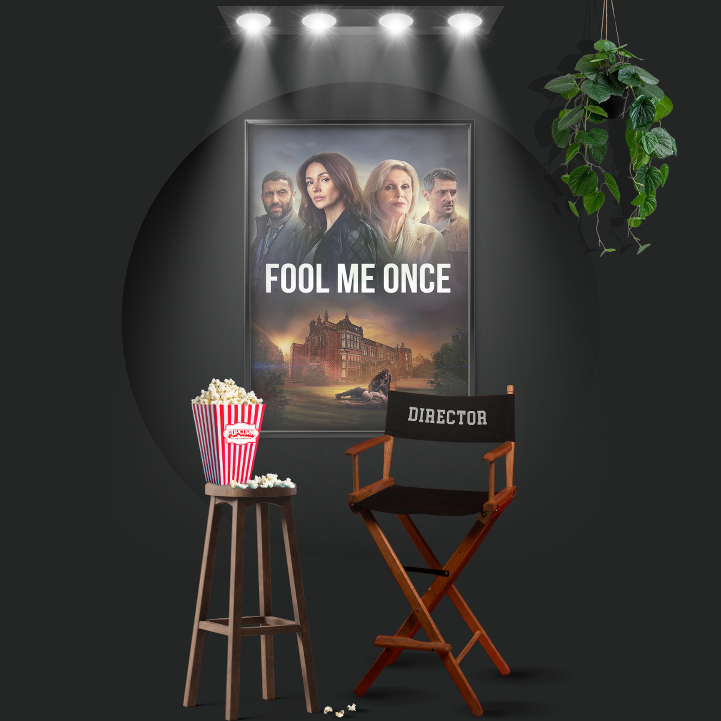 Fool Me Once (2024)