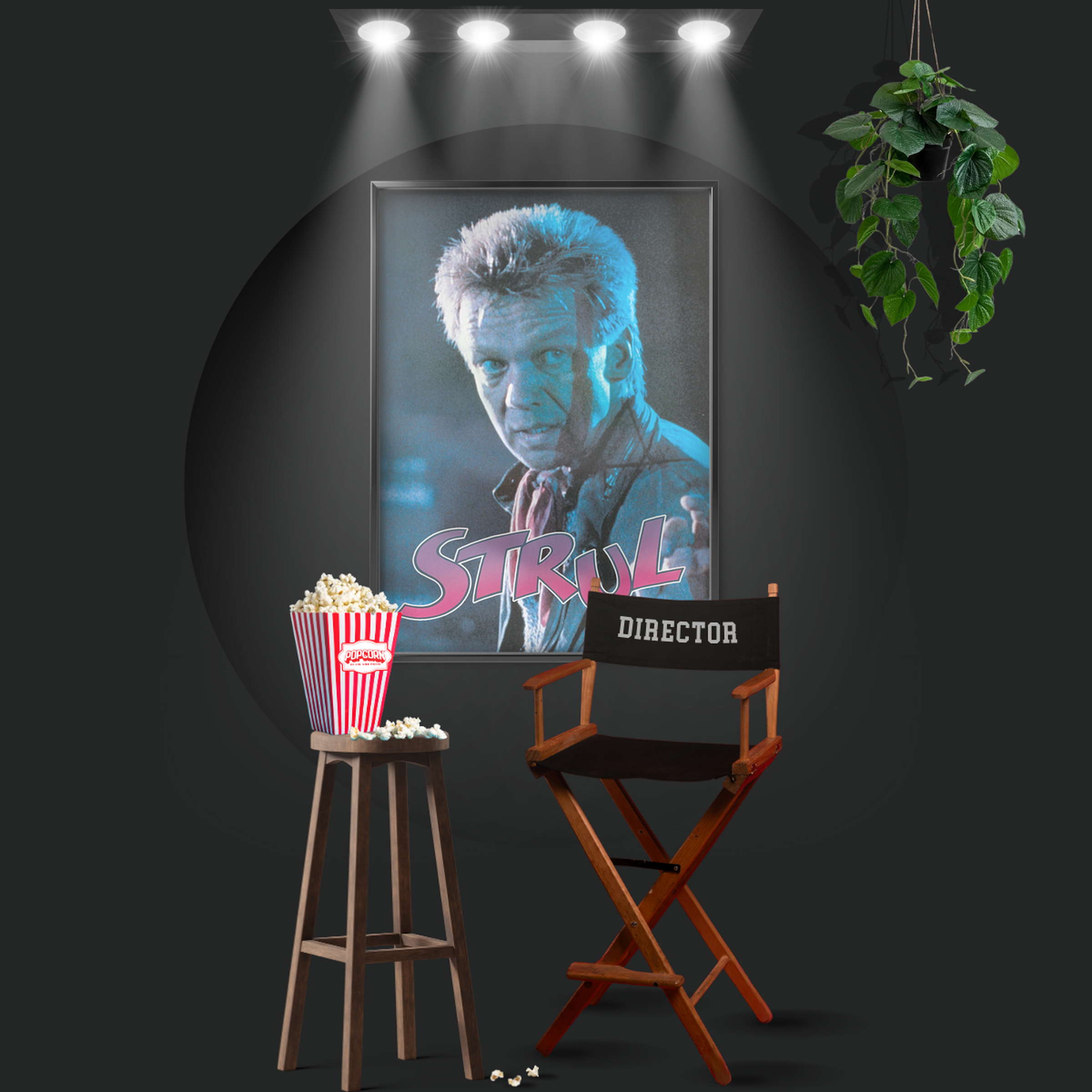 Framed (1988)