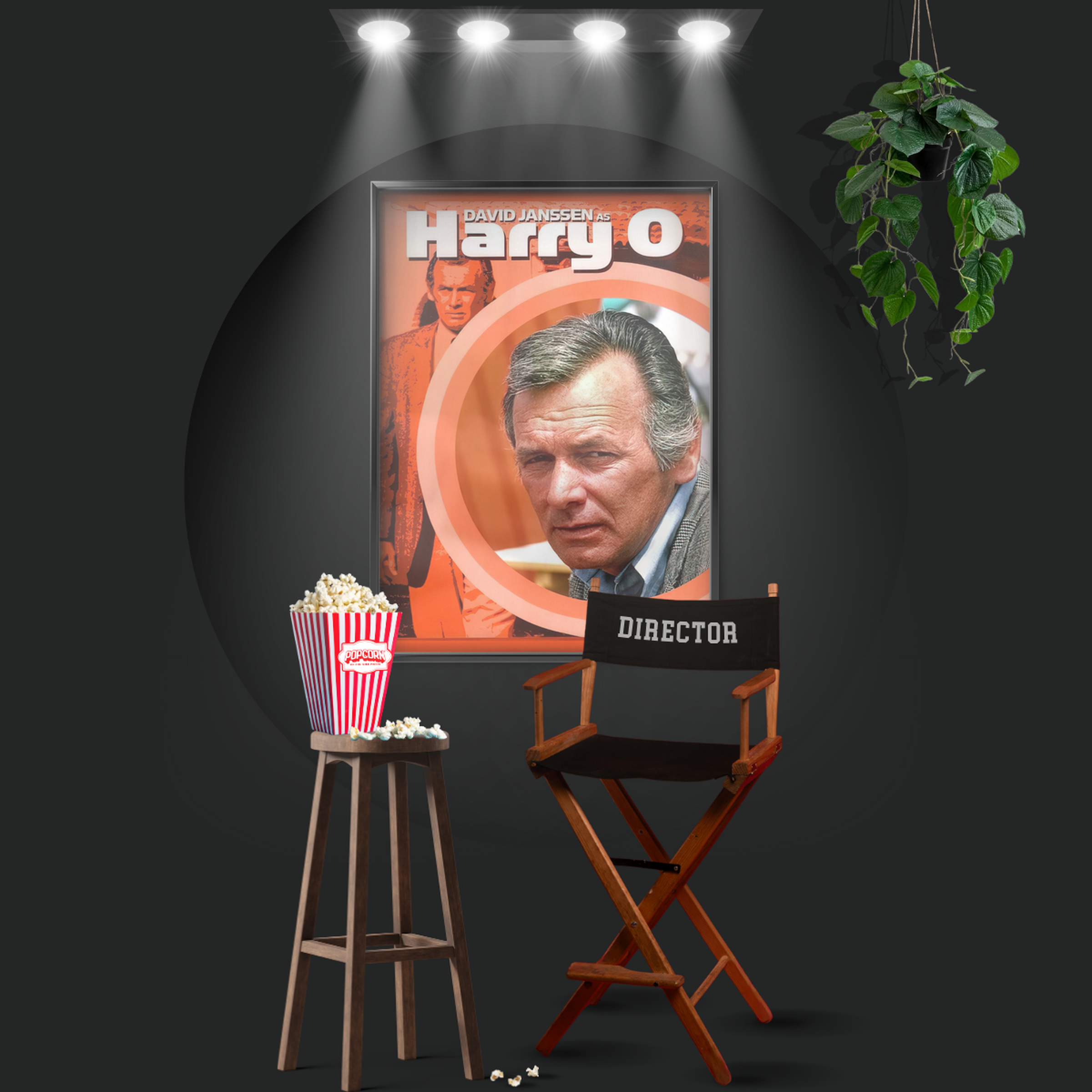 Harry O (1974)