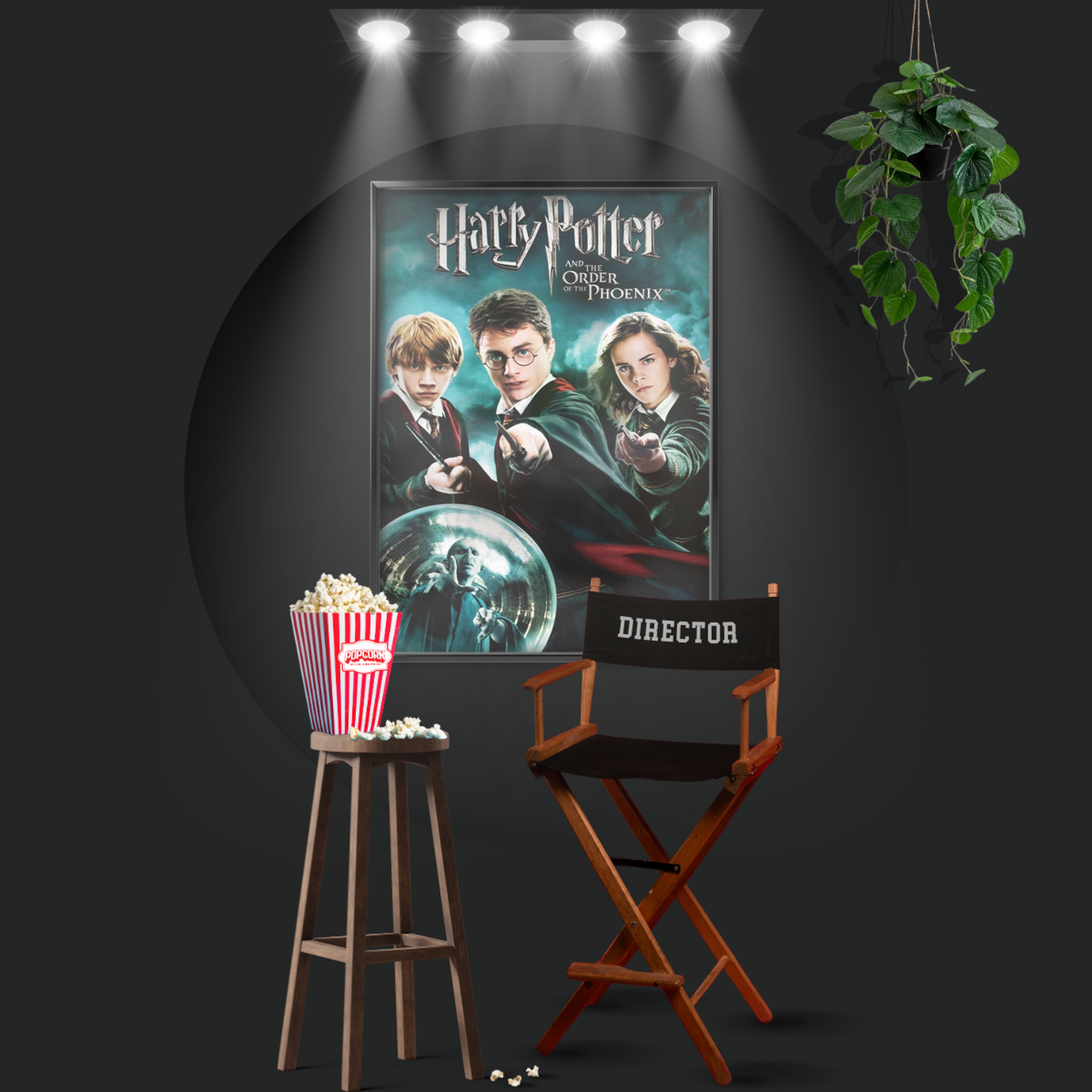 Harry Potter And The Order Of The Phoenix (2007)