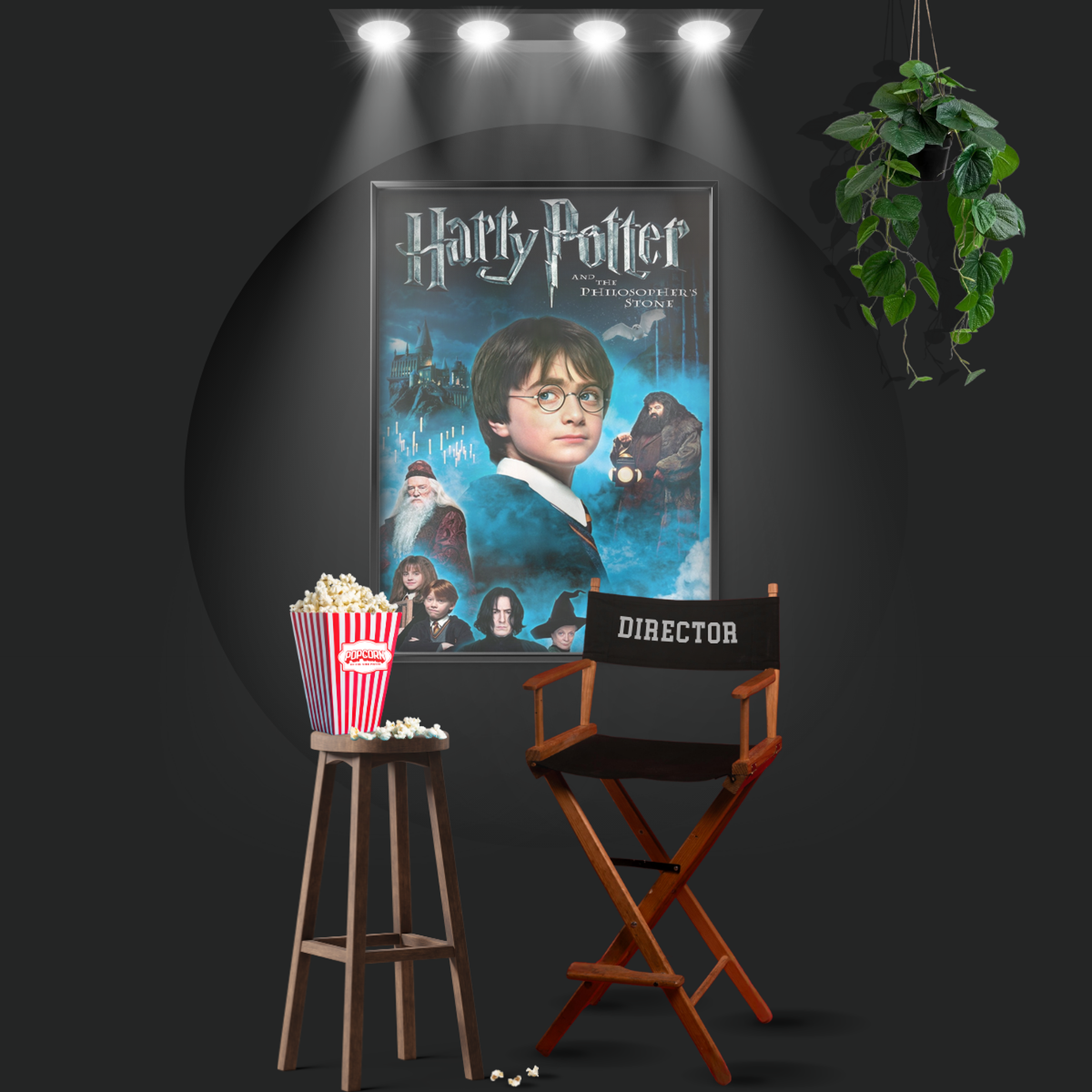 Harry Potter And The Philosopher's Stone (2001)