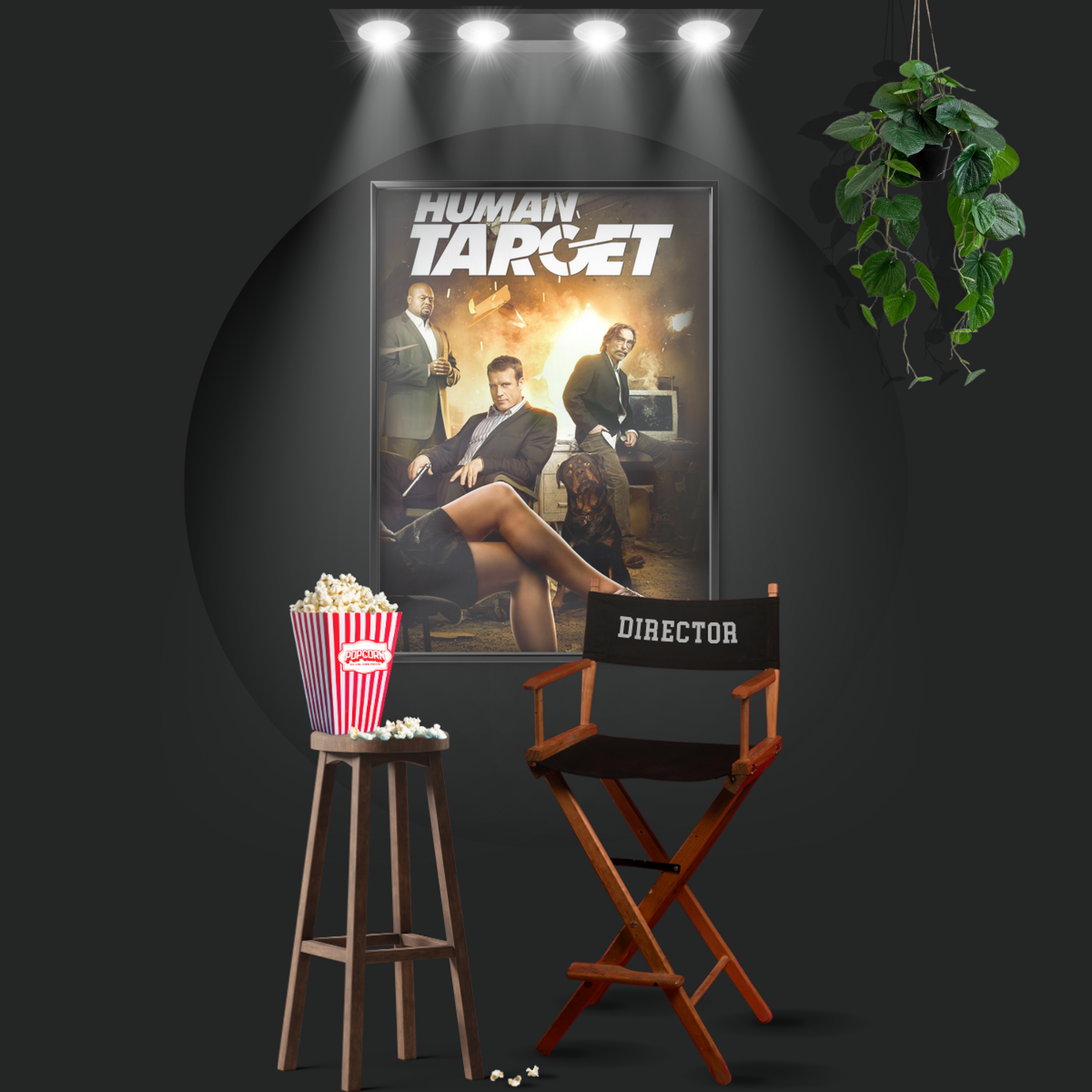 Human Target (2010)