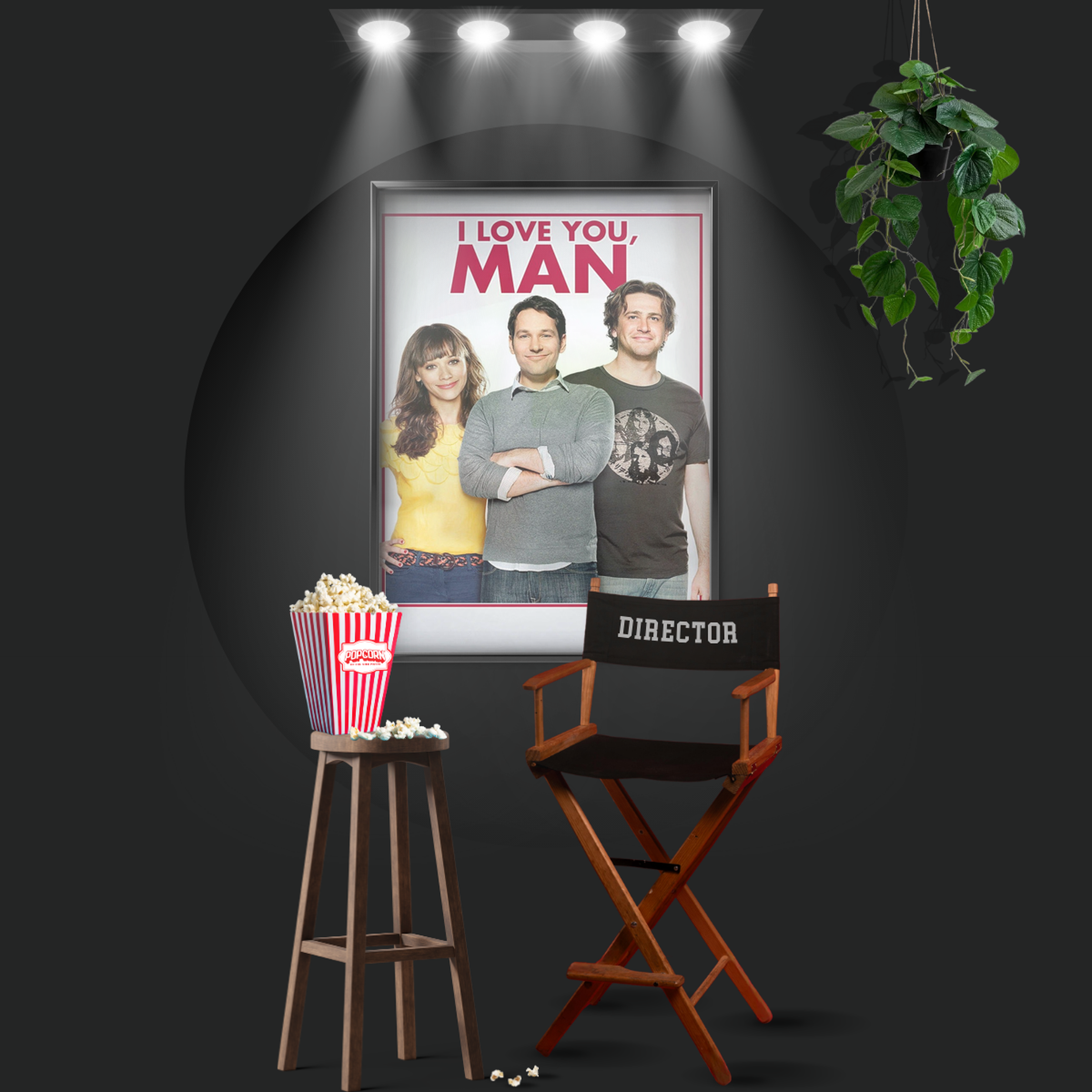 I Love You, Man (2009)