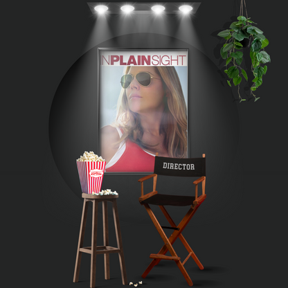 In Plain Sight (2008)