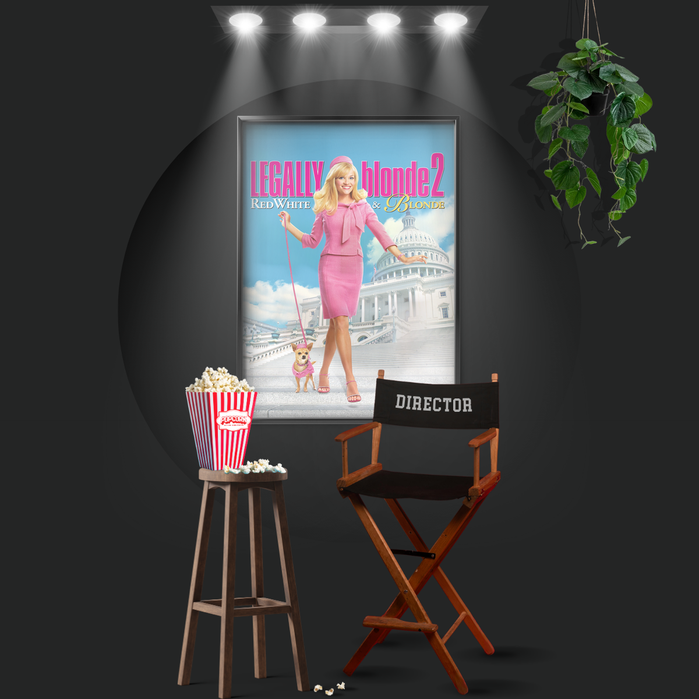 Legally Blonde 2 Red, White & Blonde (2003)