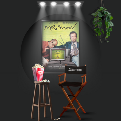 Mr. Show With Bob And David (1995)