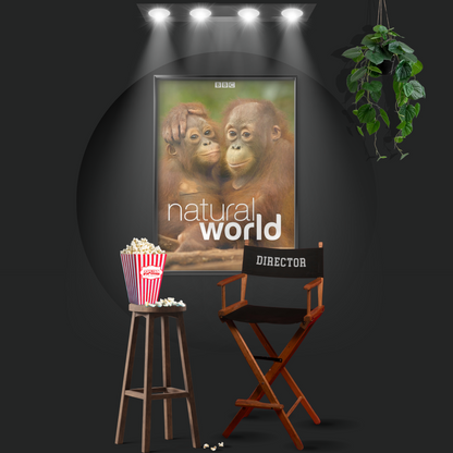 Natural World (1983)