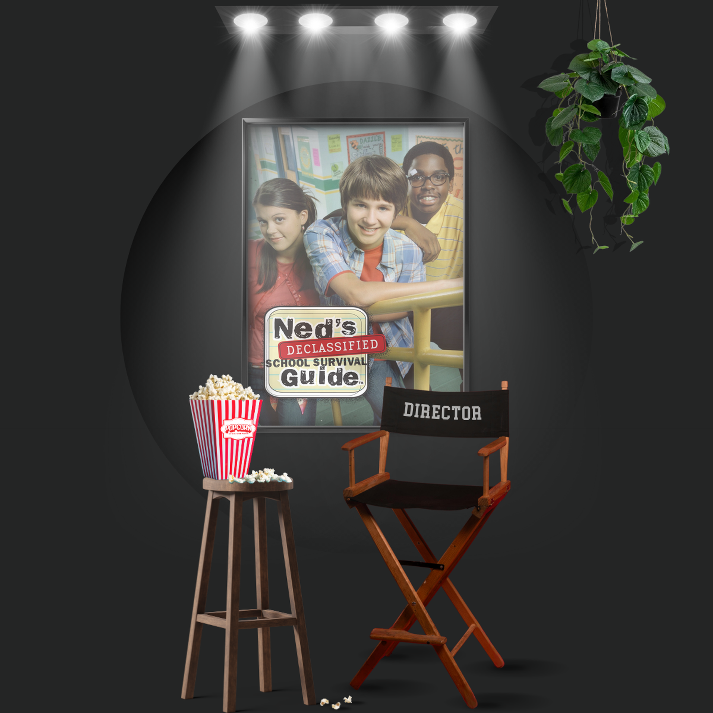 Ned's Declassified School Survival Guide (2004)