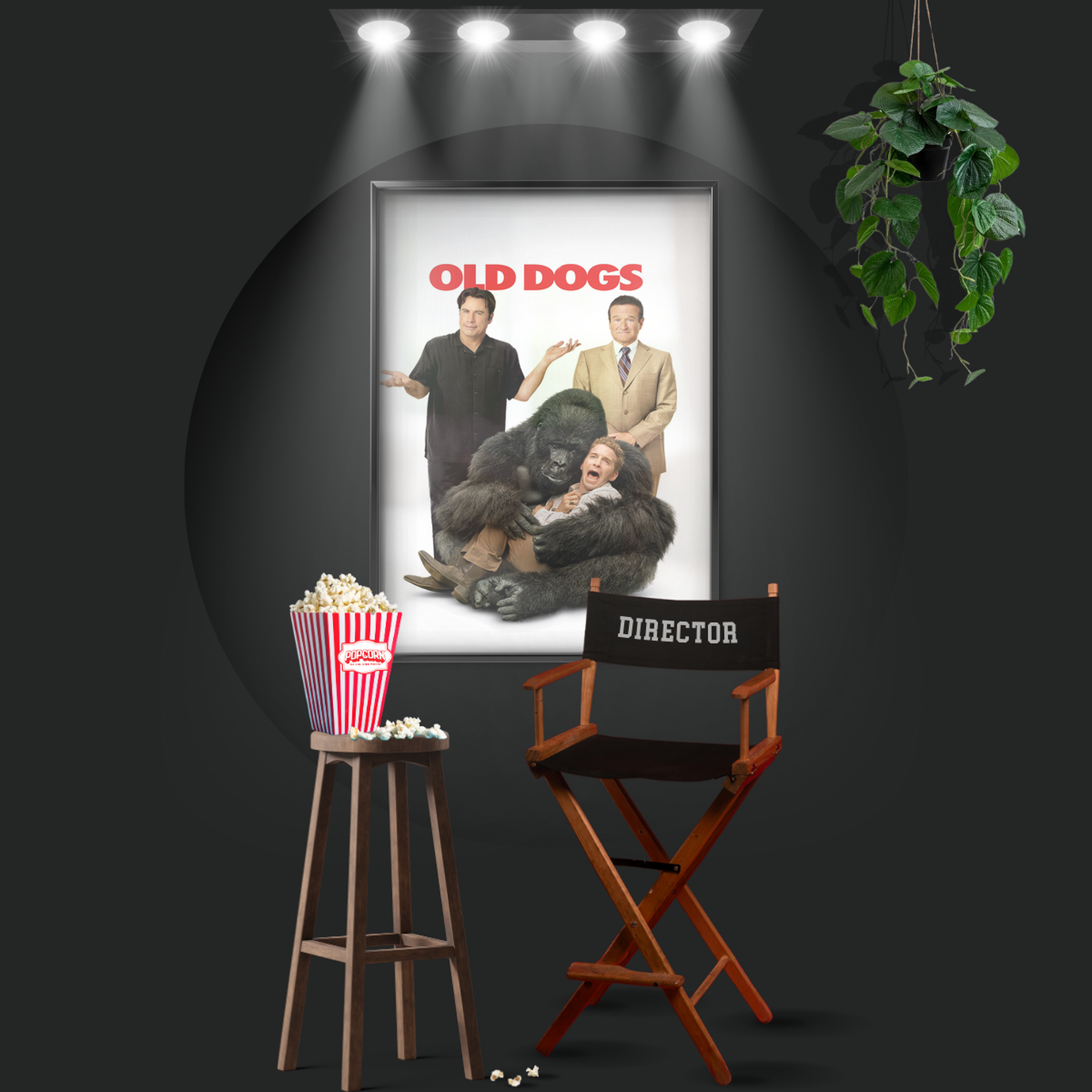 Old Dogs (2009)