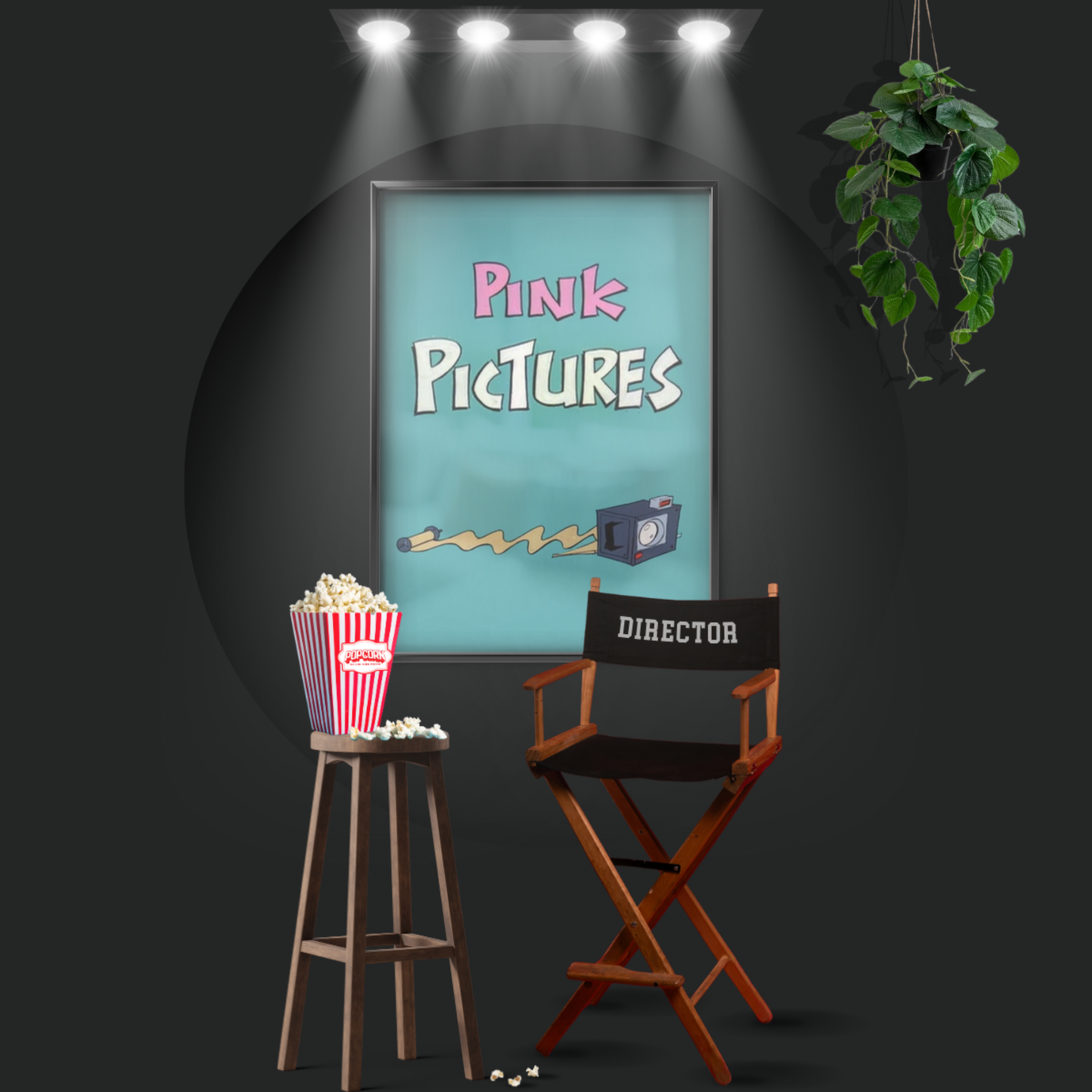 Pink Pictures (1978)