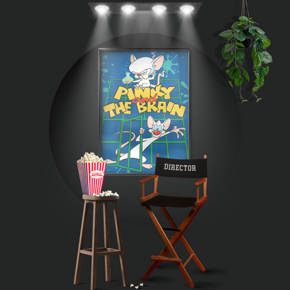 Pinky And The Brain (1995)