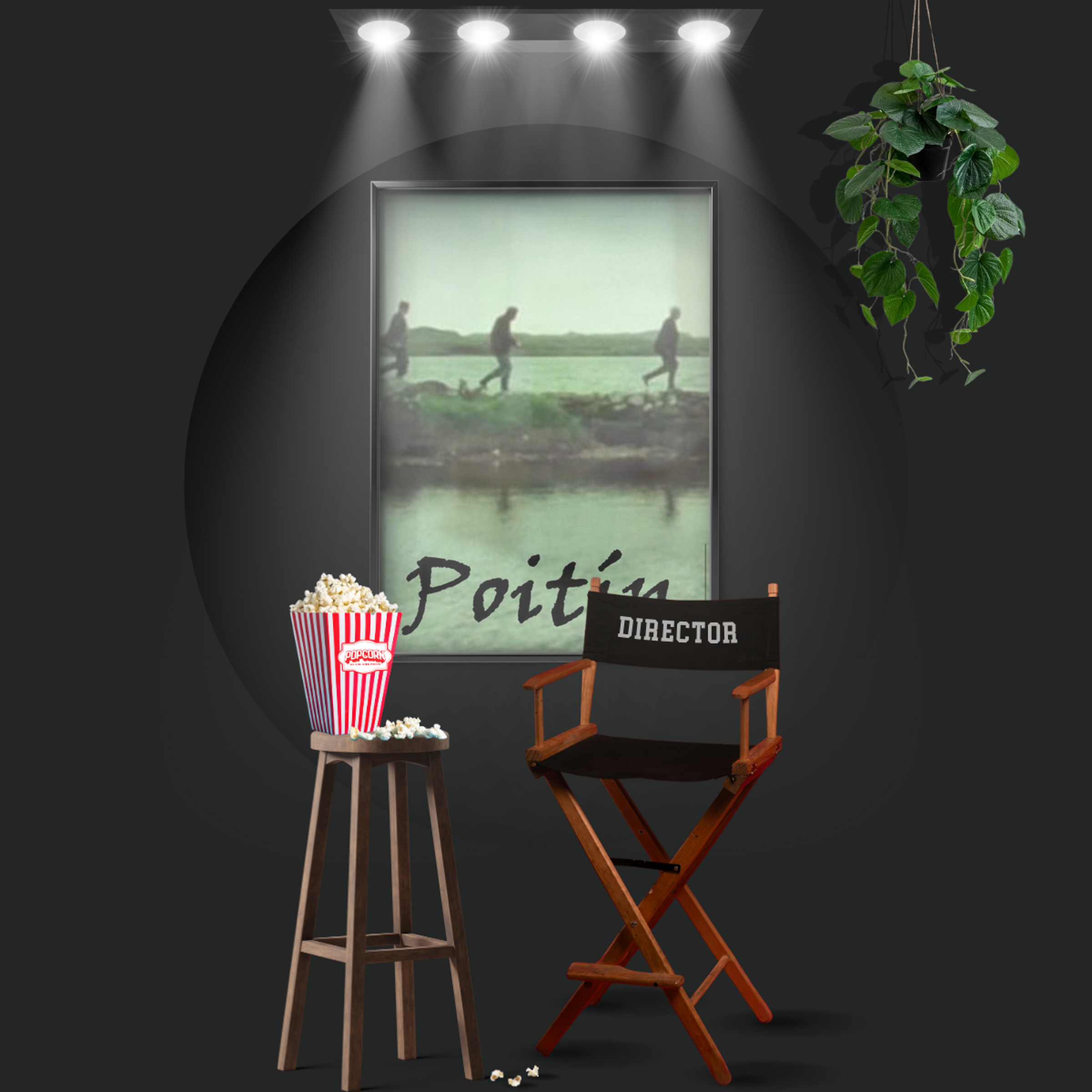 Poitín (1978)
