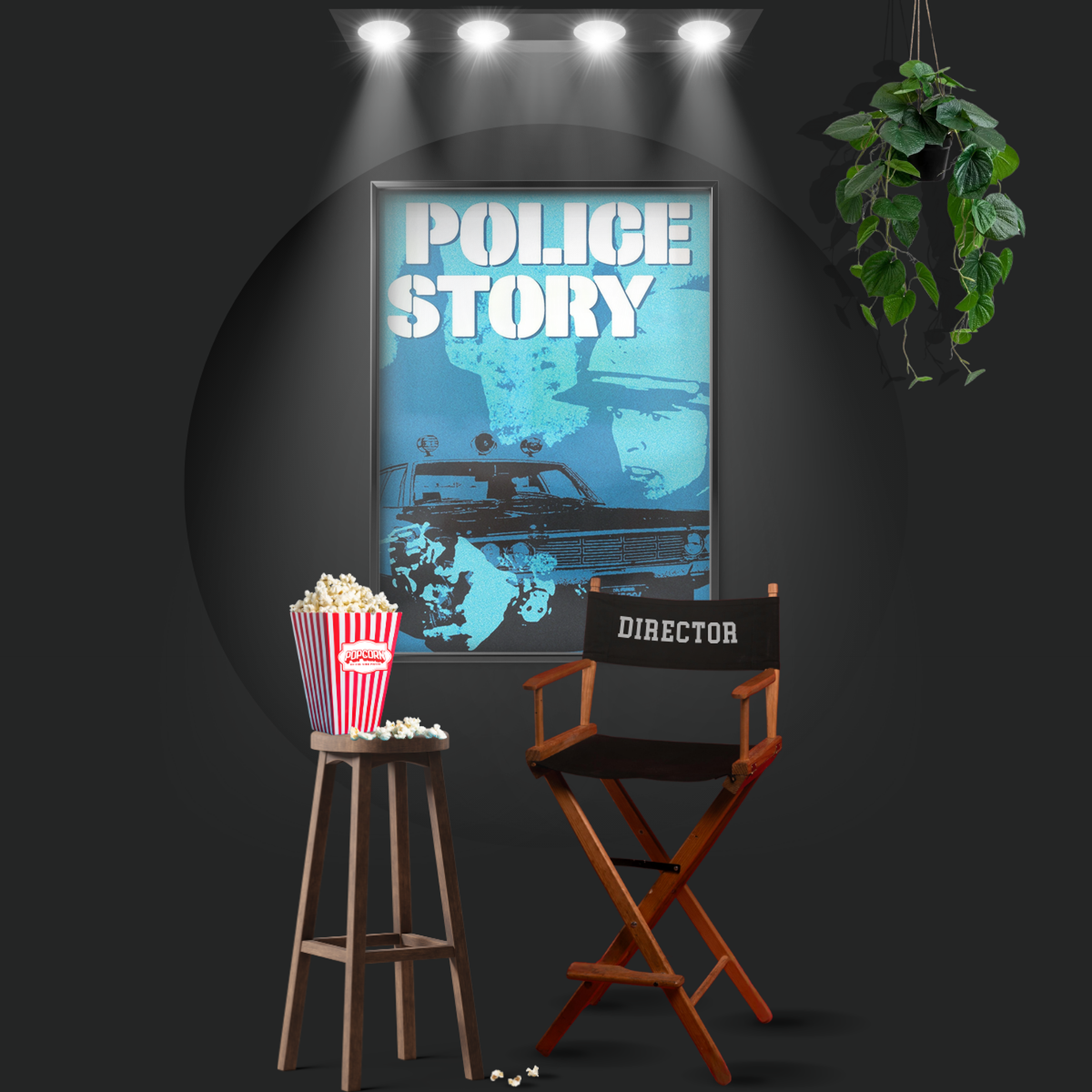 Police Story (1973)
