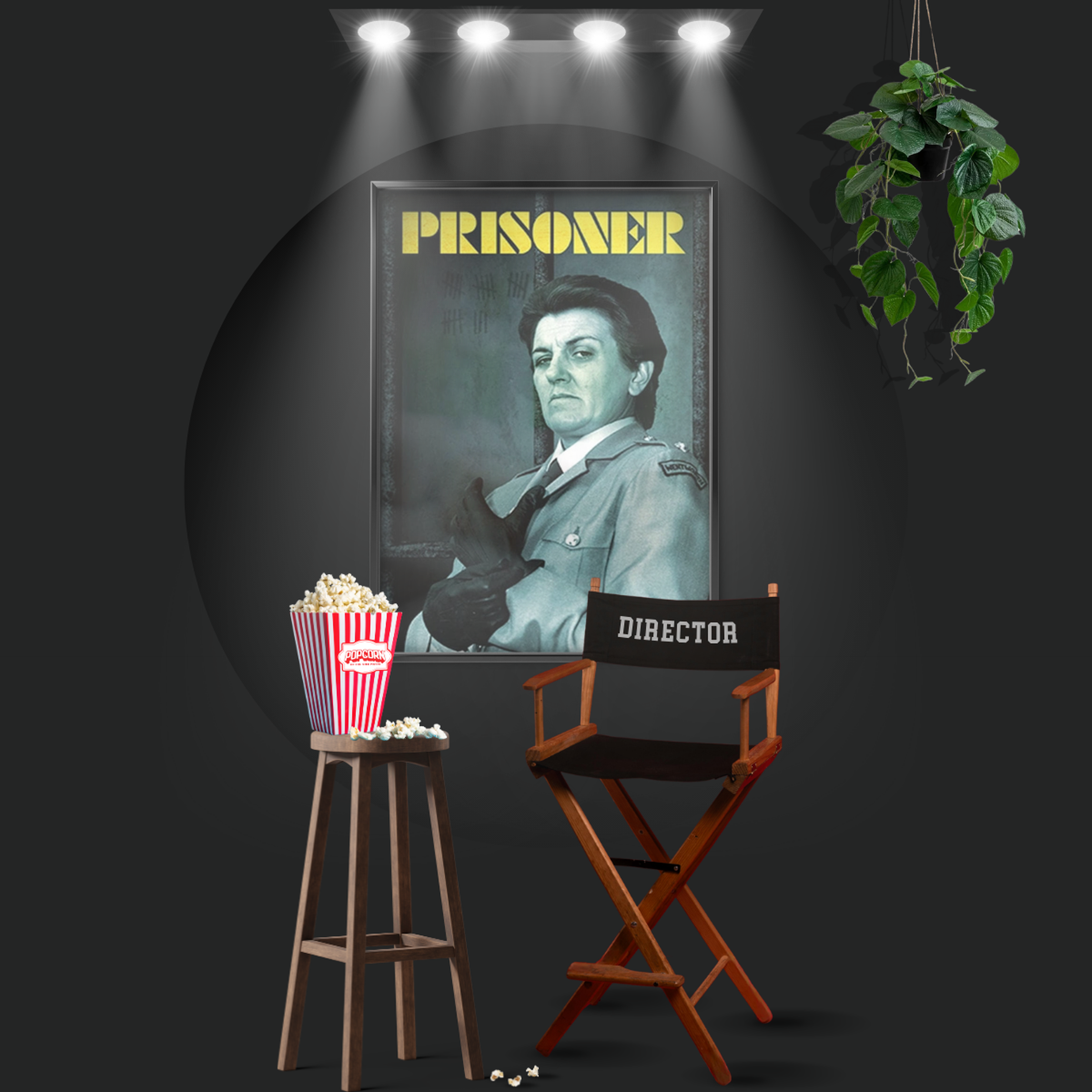 Prisoner (1979)
