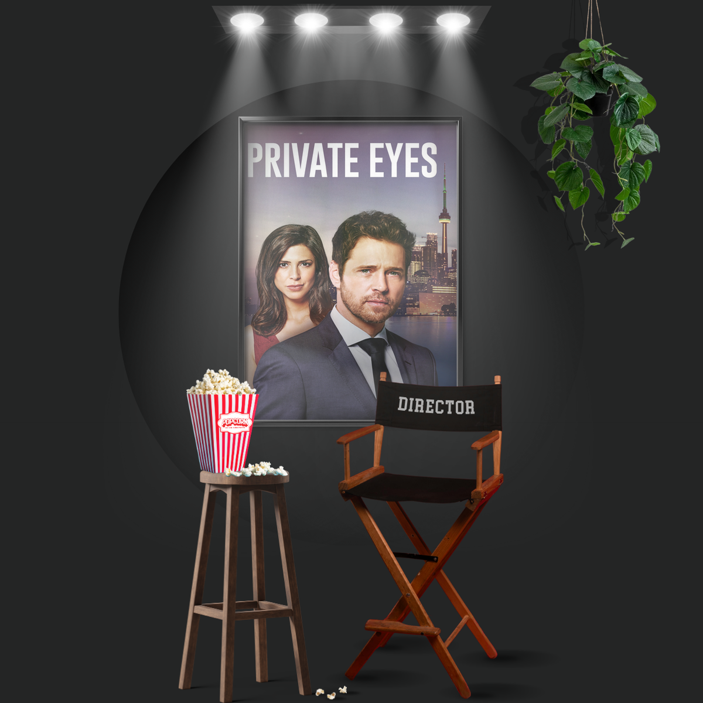 Private Eyes (2016)