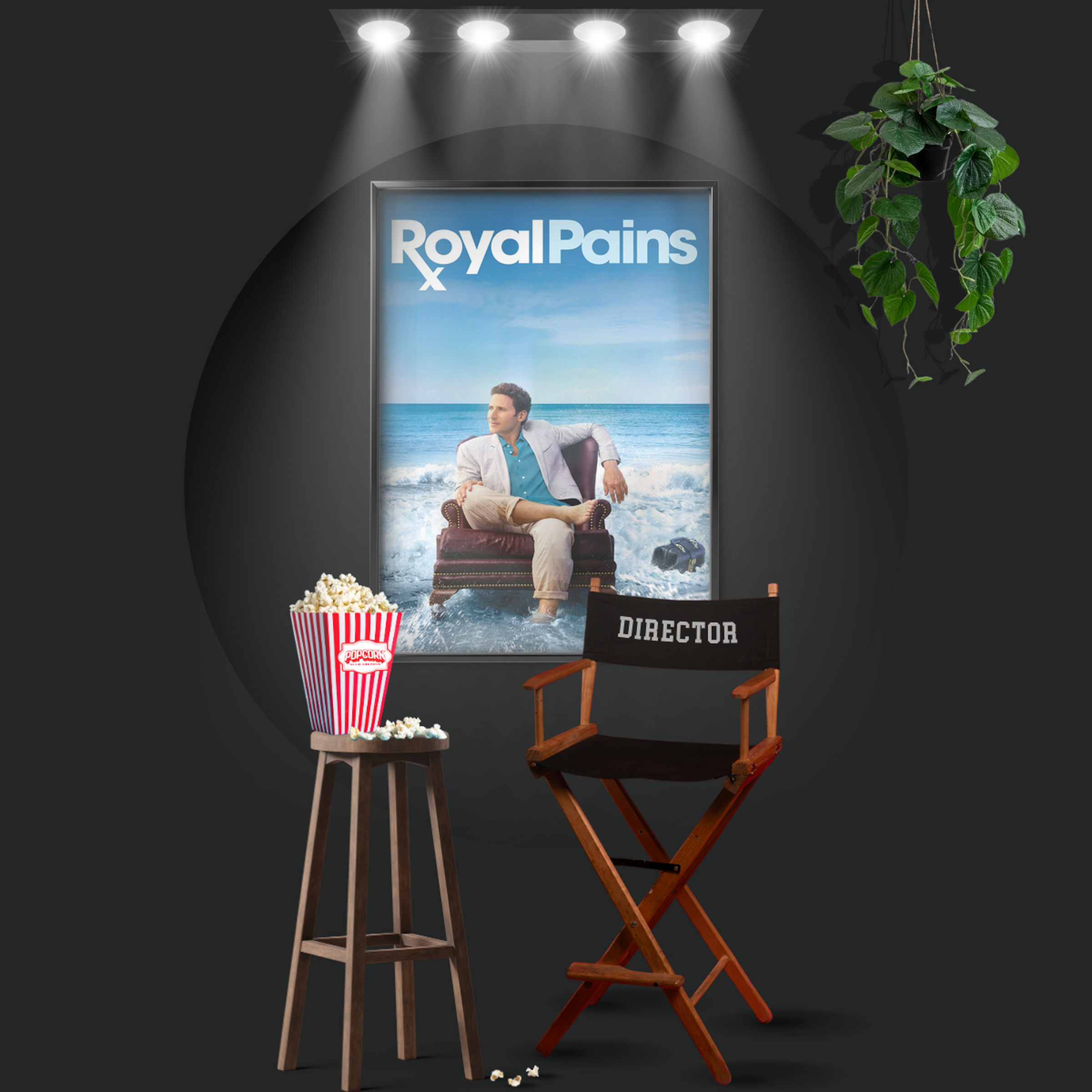 Royal Pains (2009)