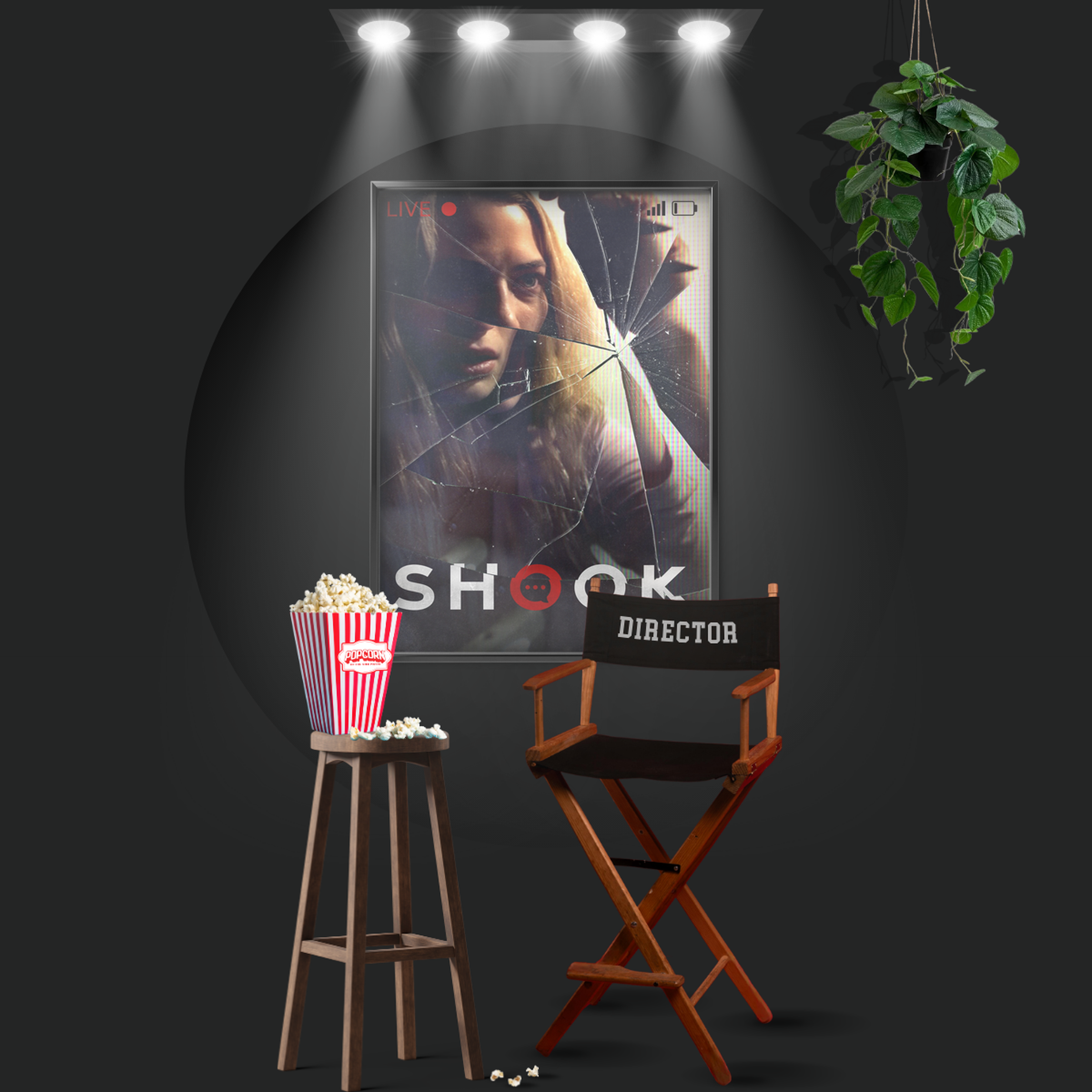 Shook (2021)