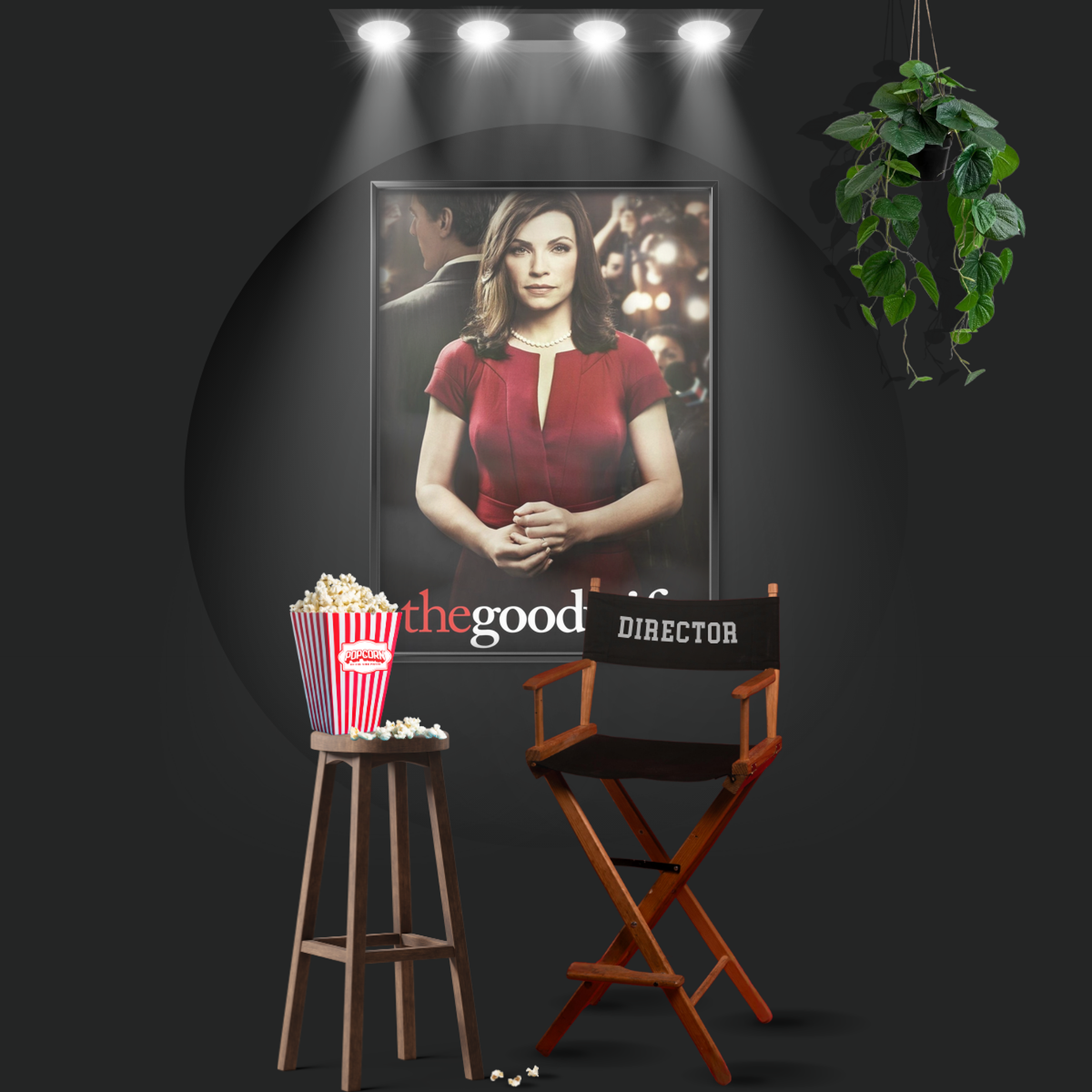 The Good Wife (2009)