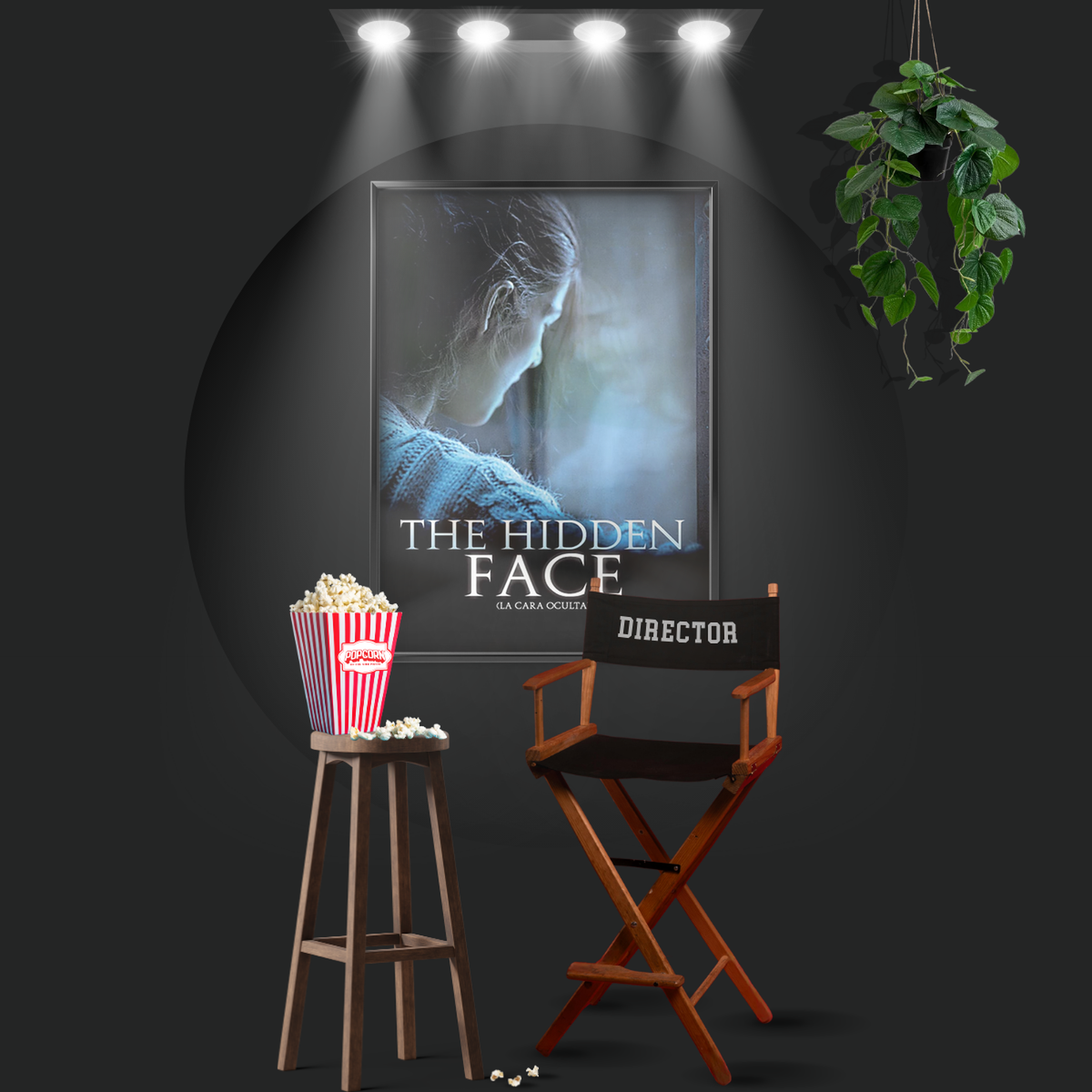 The Hidden Face (2011)
