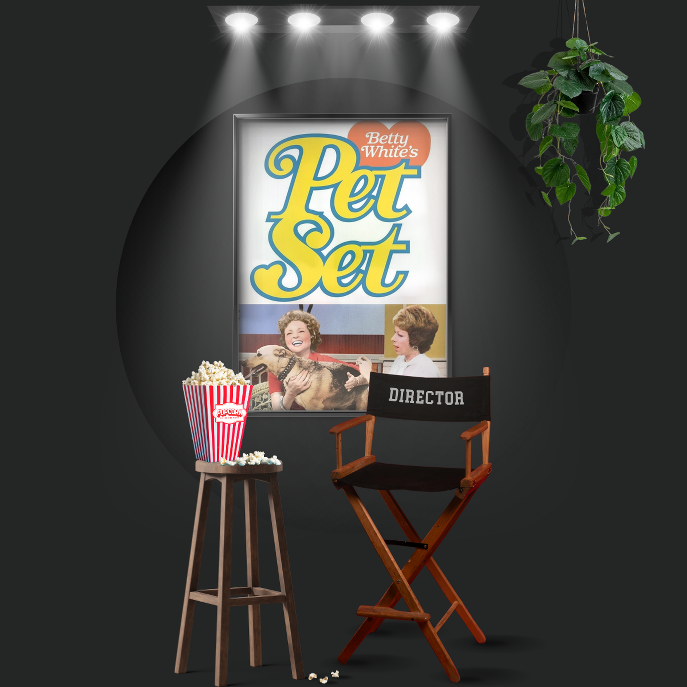 The Pet Set (1971)