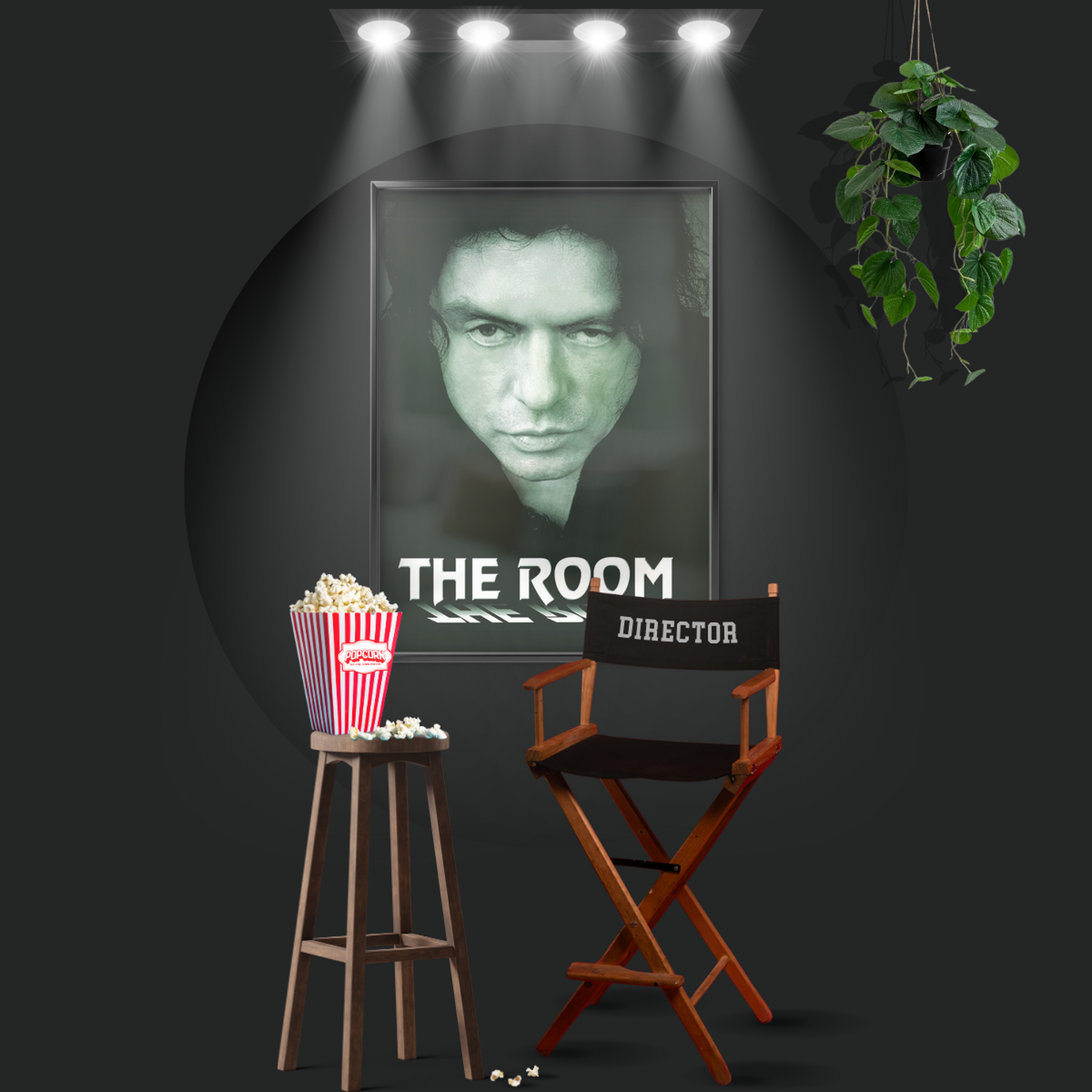 The Room (2003)