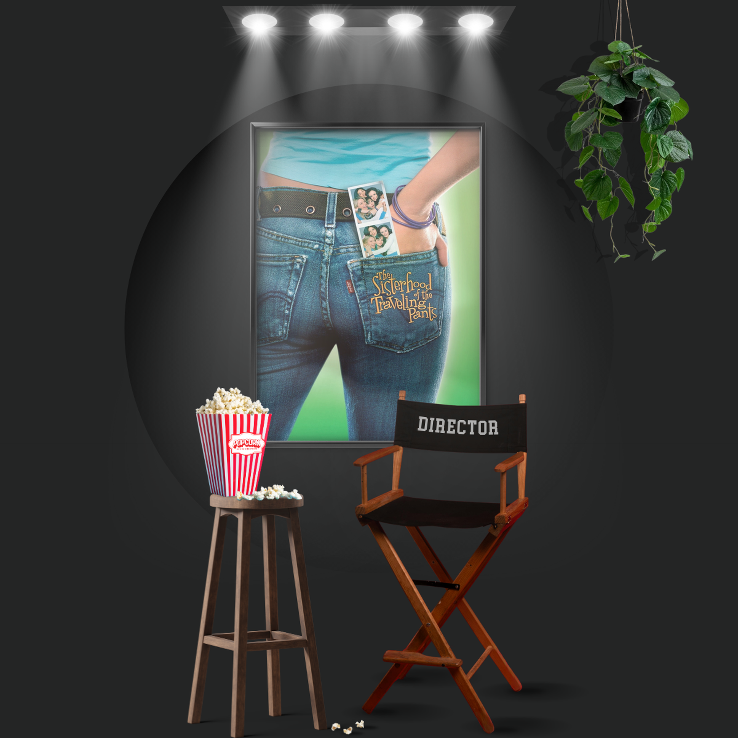 The Sisterhood Of The Traveling Pants (2005)