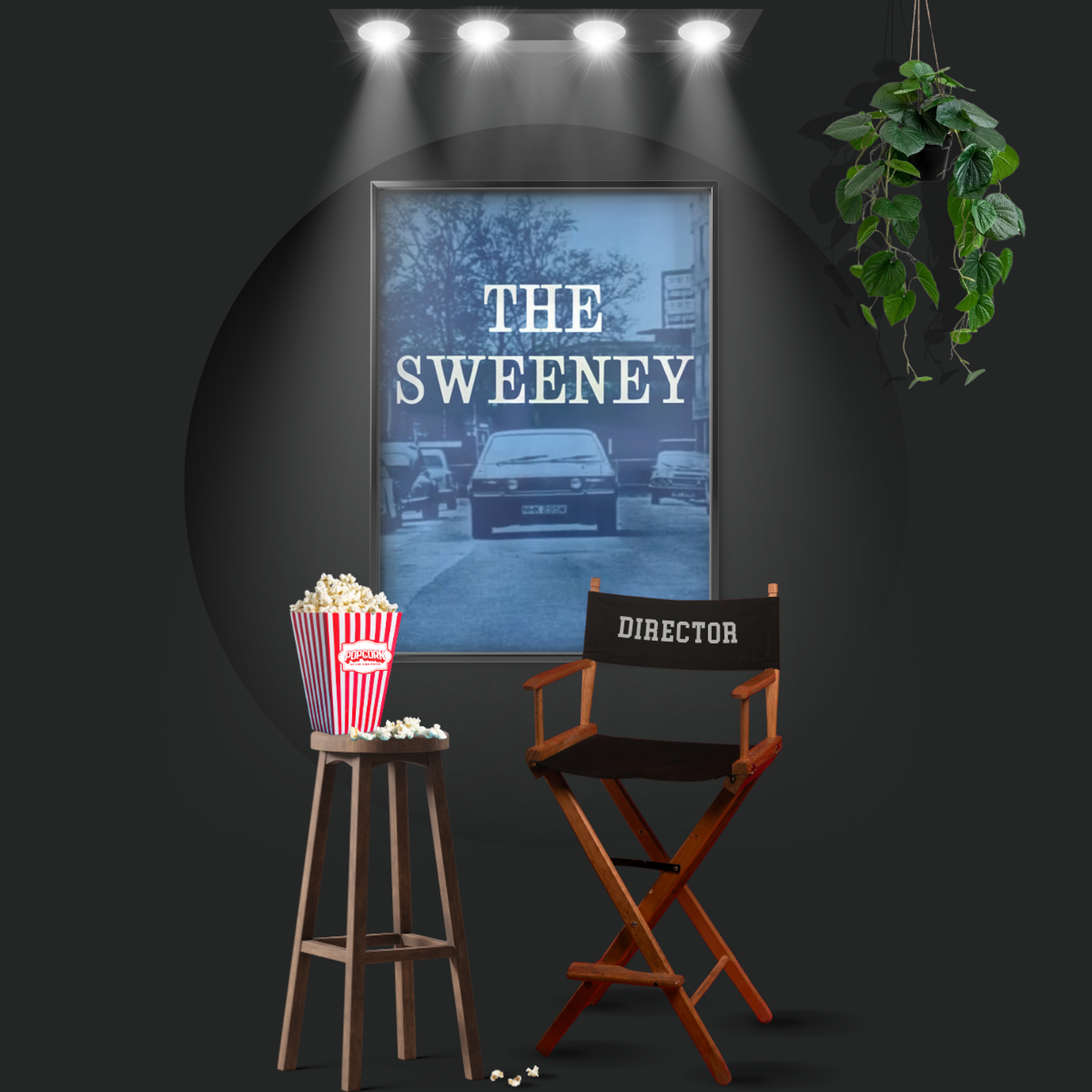 The Sweeney (1975)