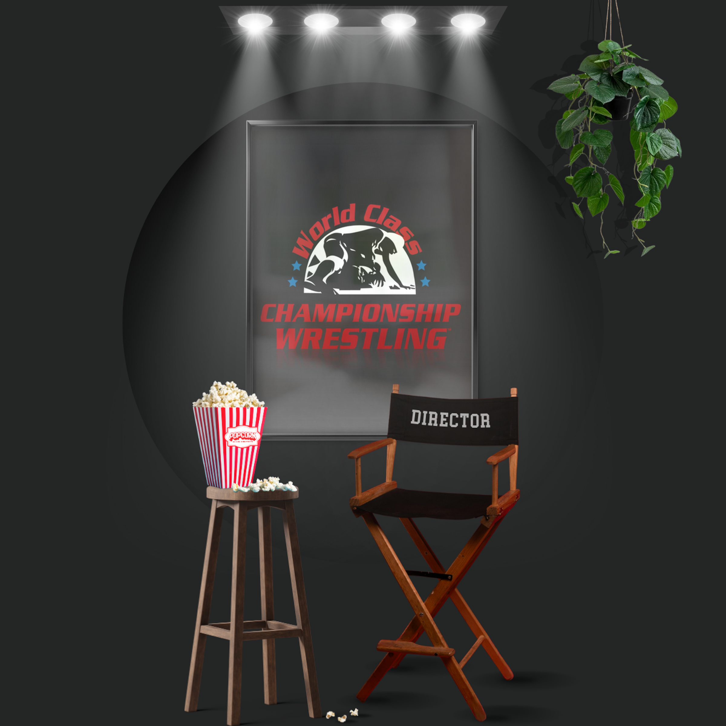 World Class Championship Wrestling (1982)