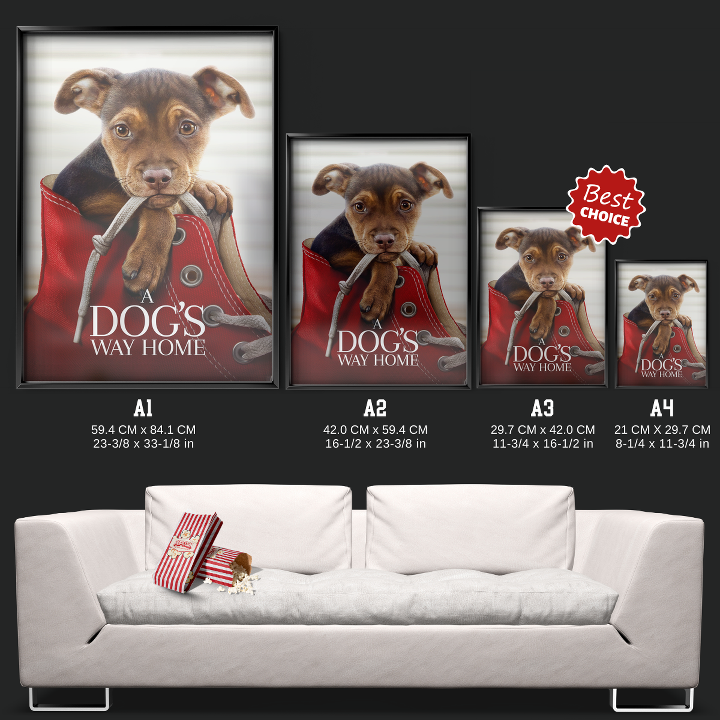 A Dog's Way Home (2019)