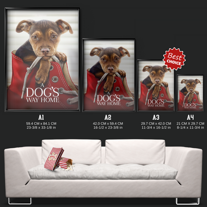 A Dog's Way Home (2019)