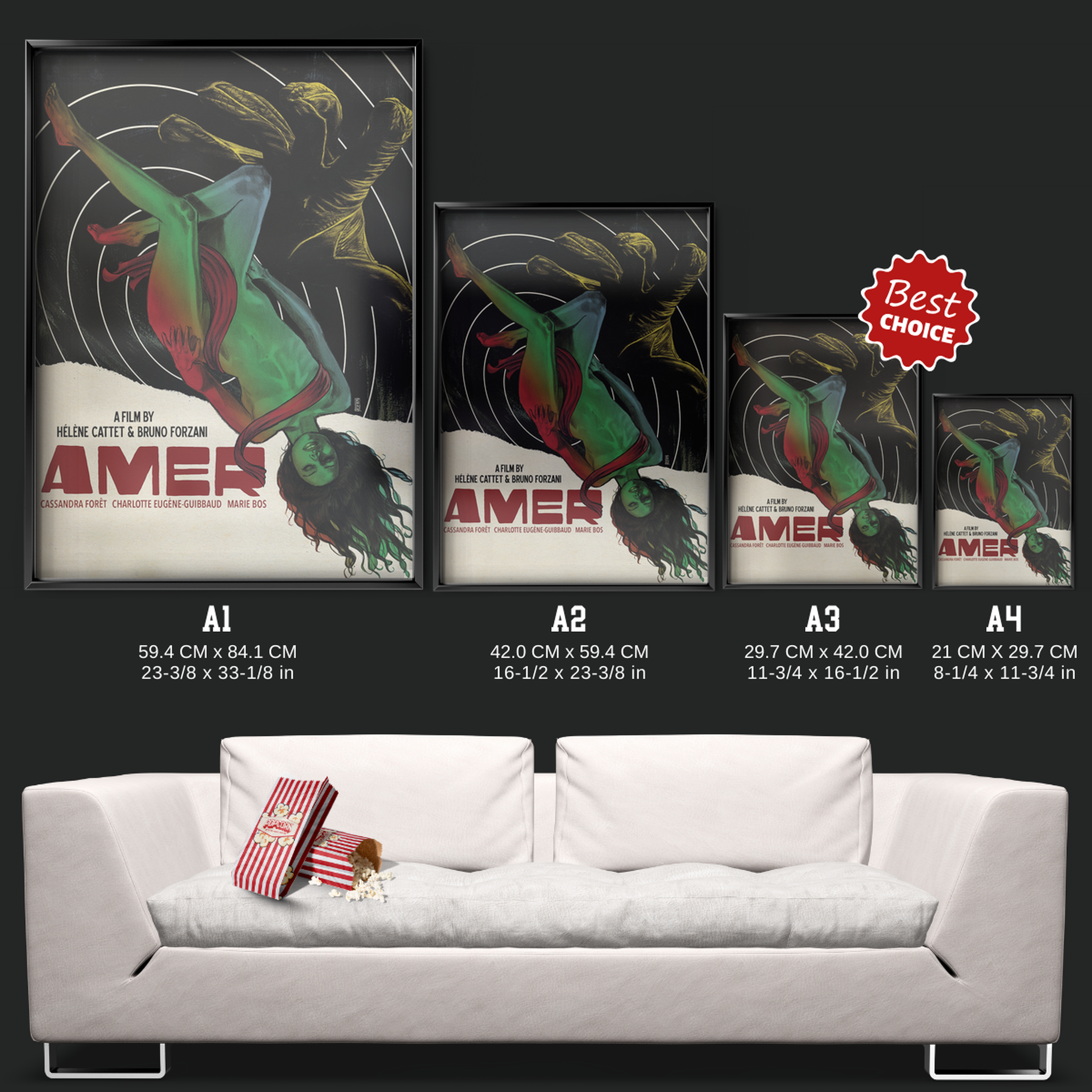 Amer (2009)