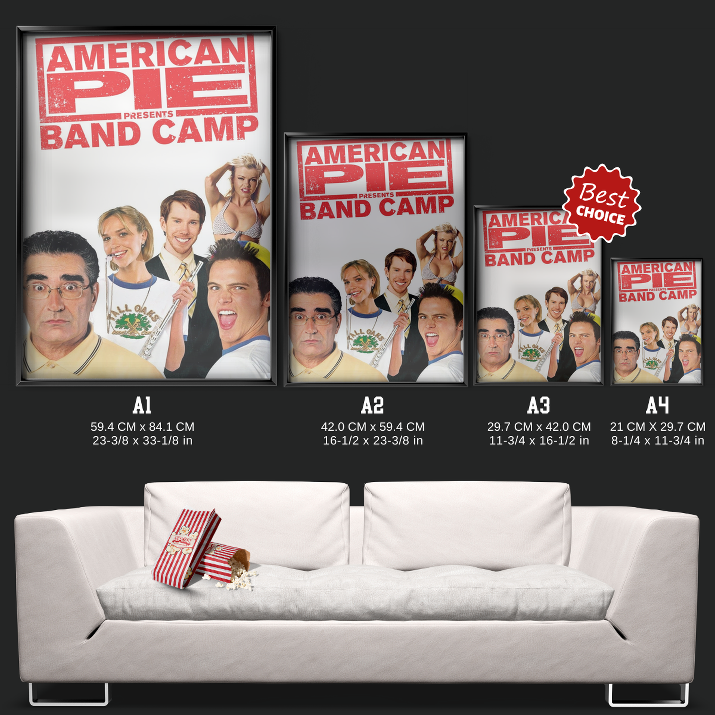 American Pie Presents Band Camp (2005)