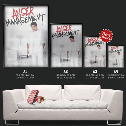 Anger Management (2012)