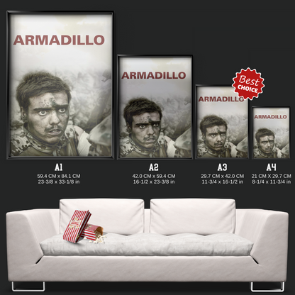 Armadillo (2010)