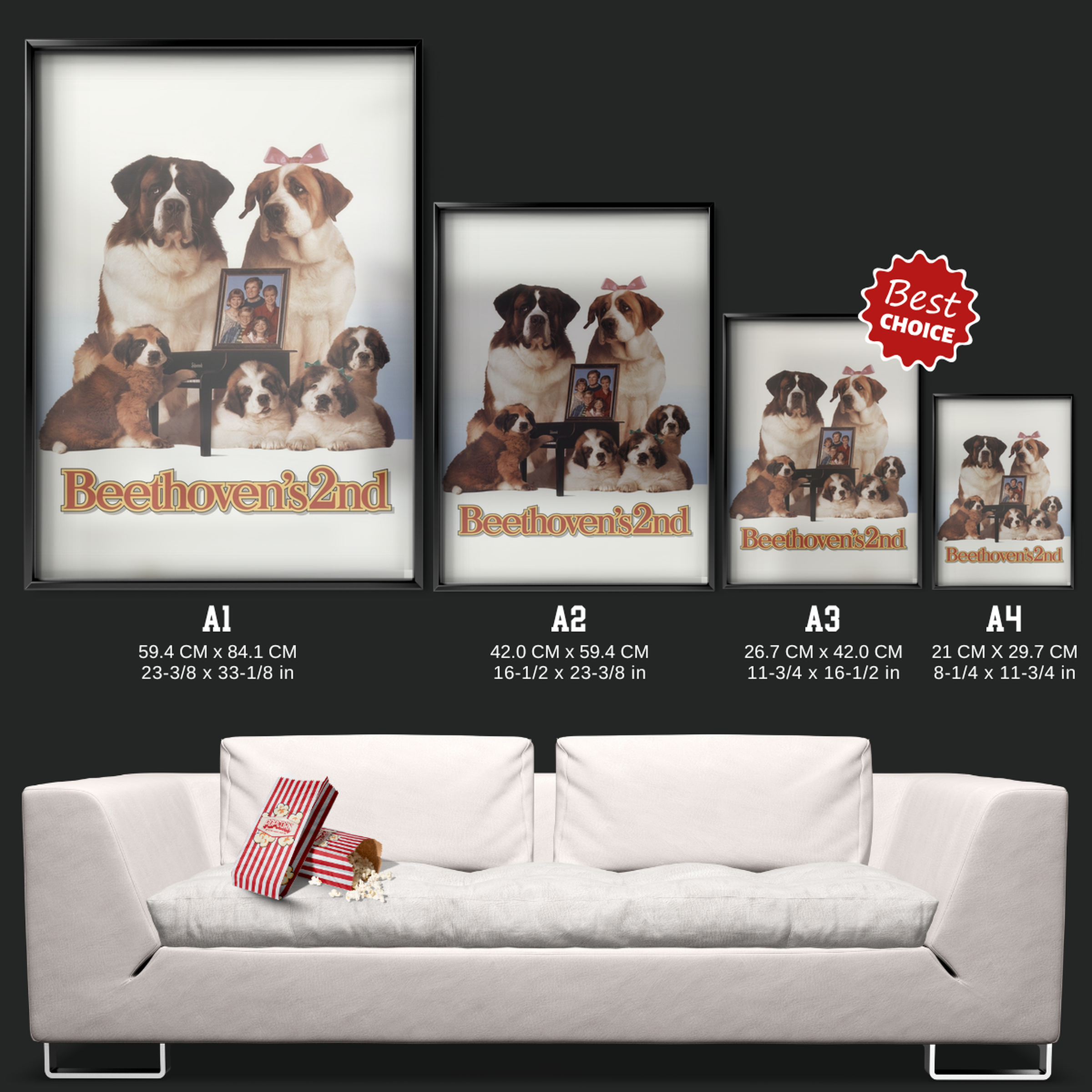 Beethoven's 2nd (1993)