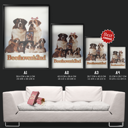 Beethoven's 2nd (1993)